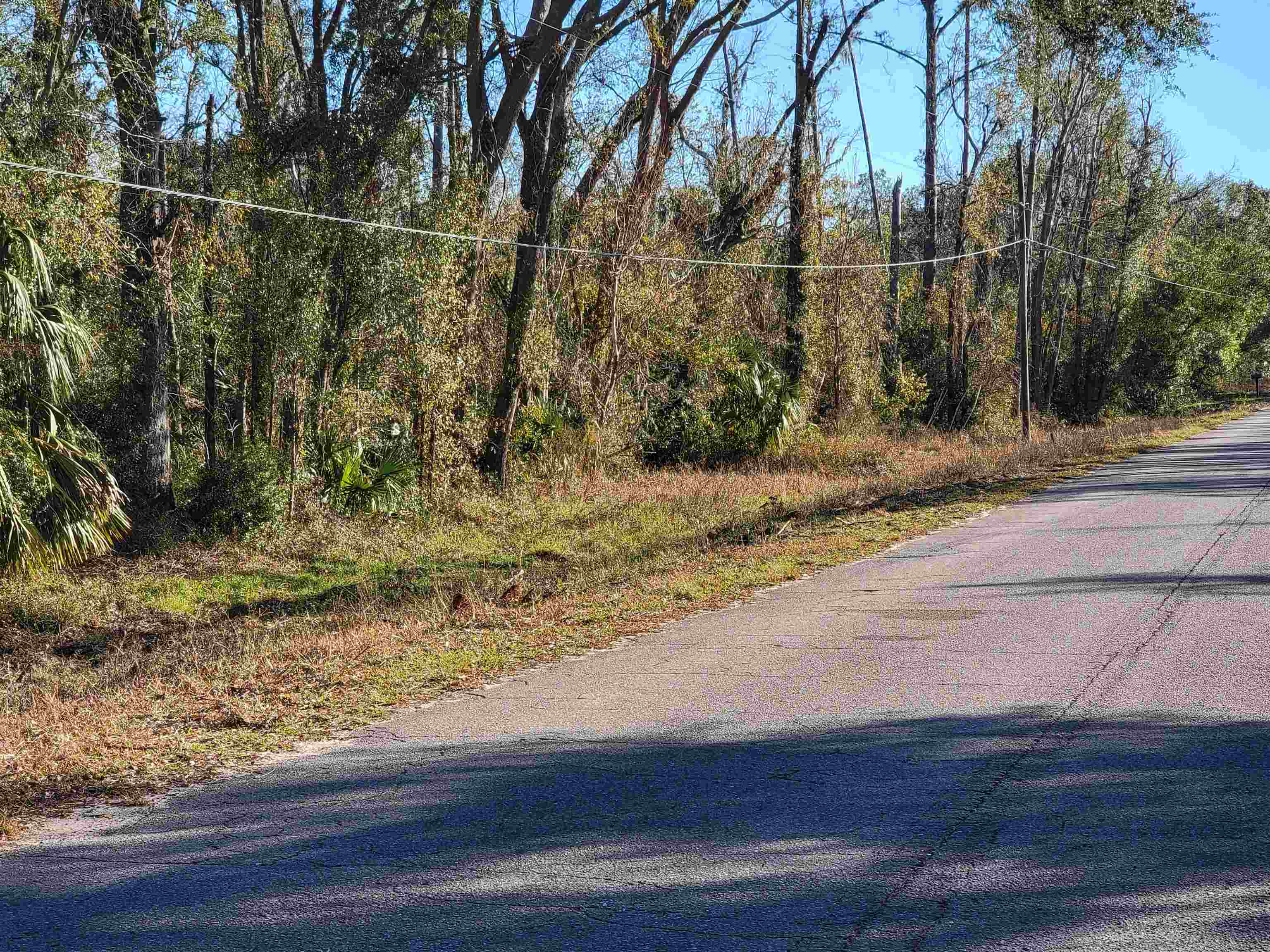 00 Pharo Morgan Road, Perry, Florida image 6
