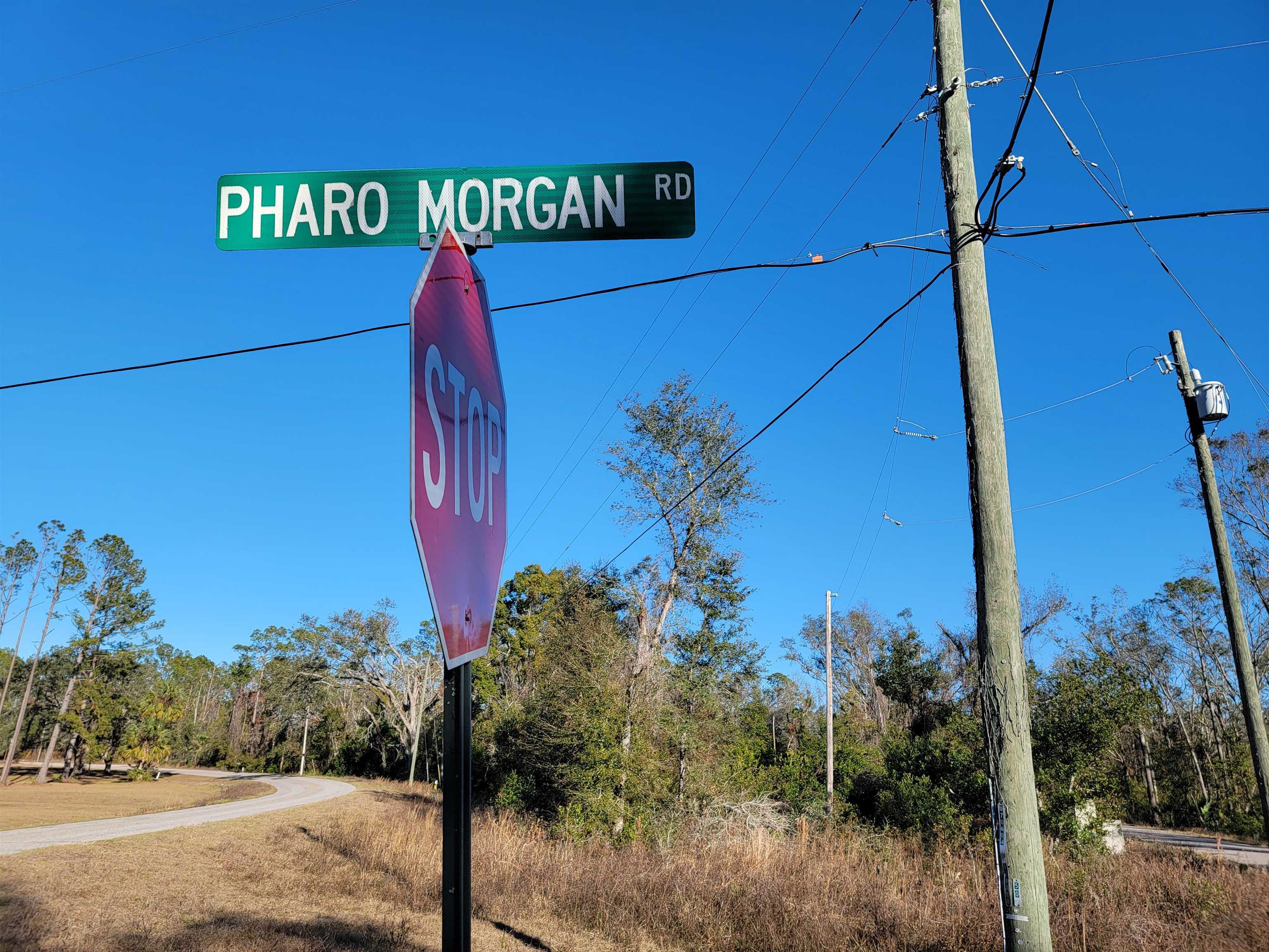 00 Pharo Morgan Road, Perry, Florida image 7