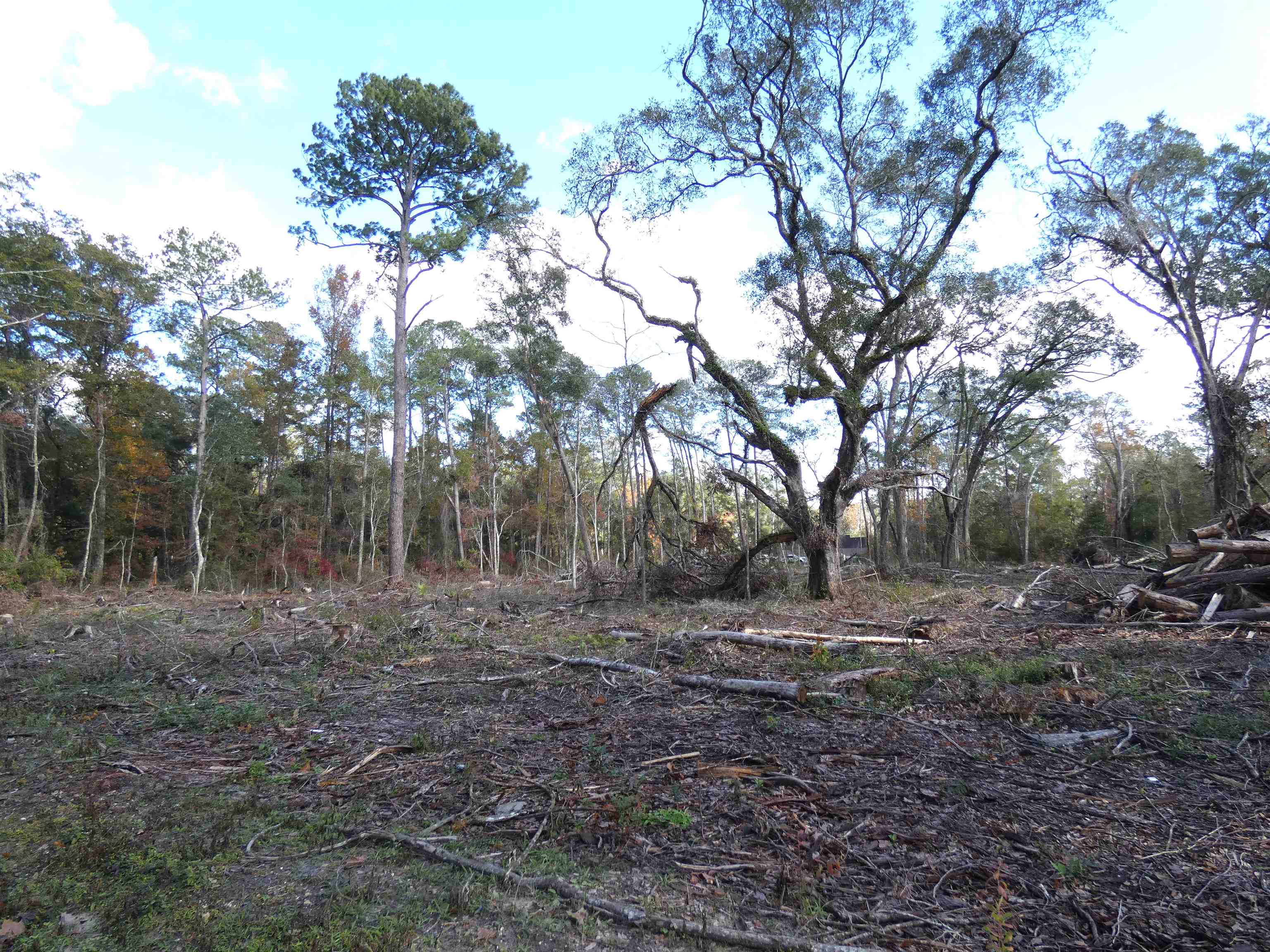 TBD Gamble Road, Monticello, Florida image 1