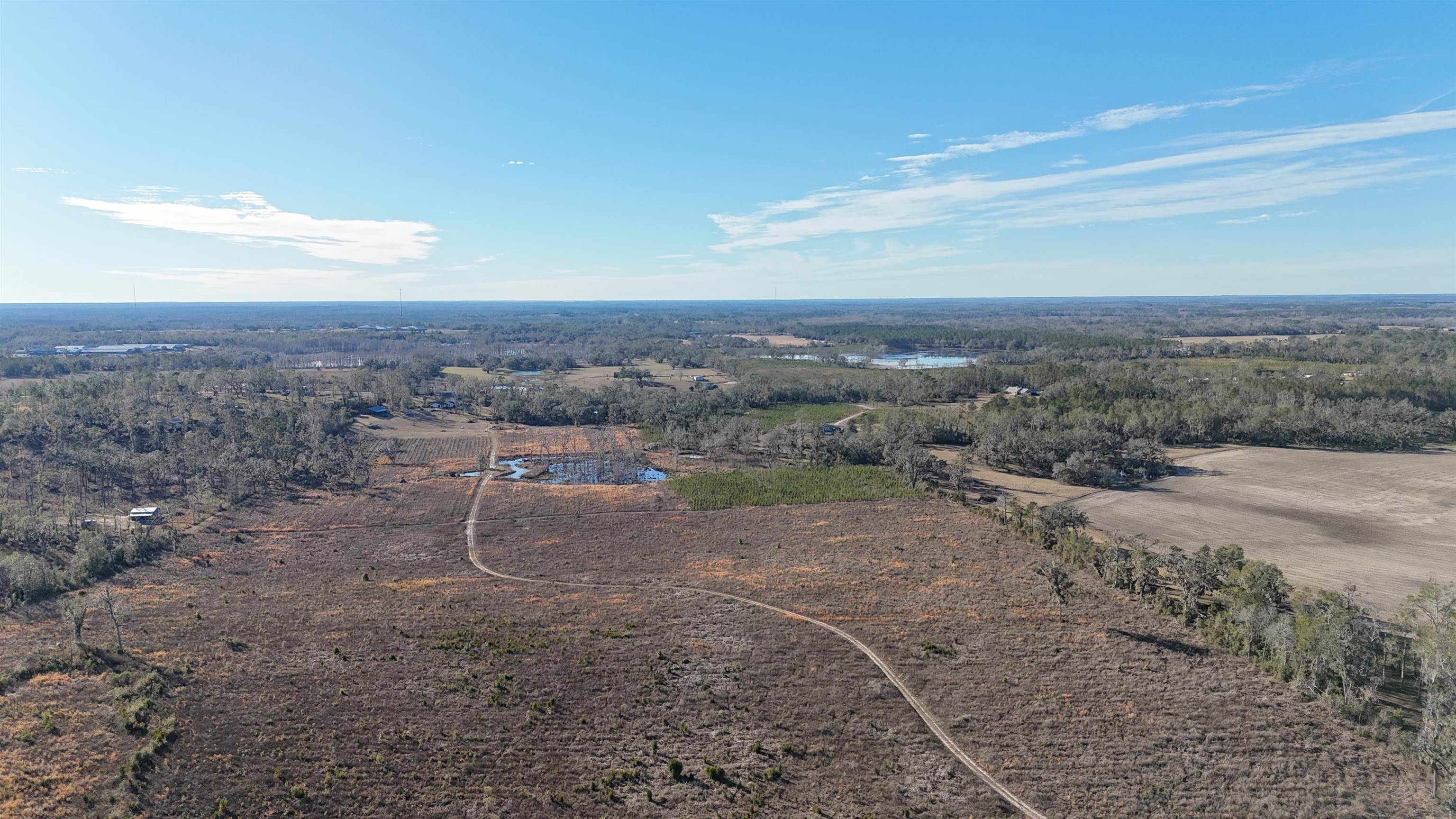 Parcel #2 NW Adelie Trail, Madison, Texas image 18