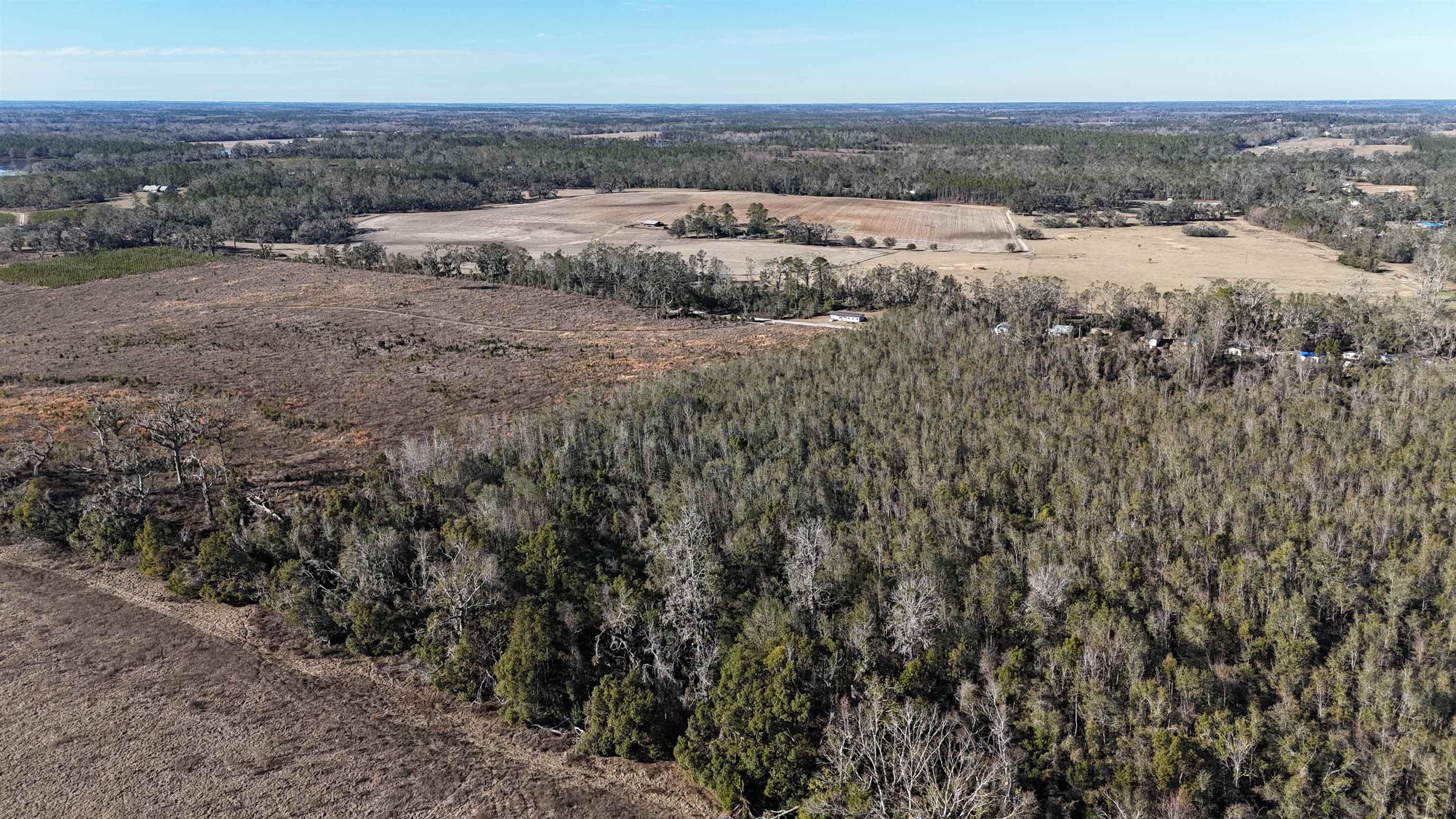 Parcel #2 NW Adelie Trail, Madison, Texas image 7