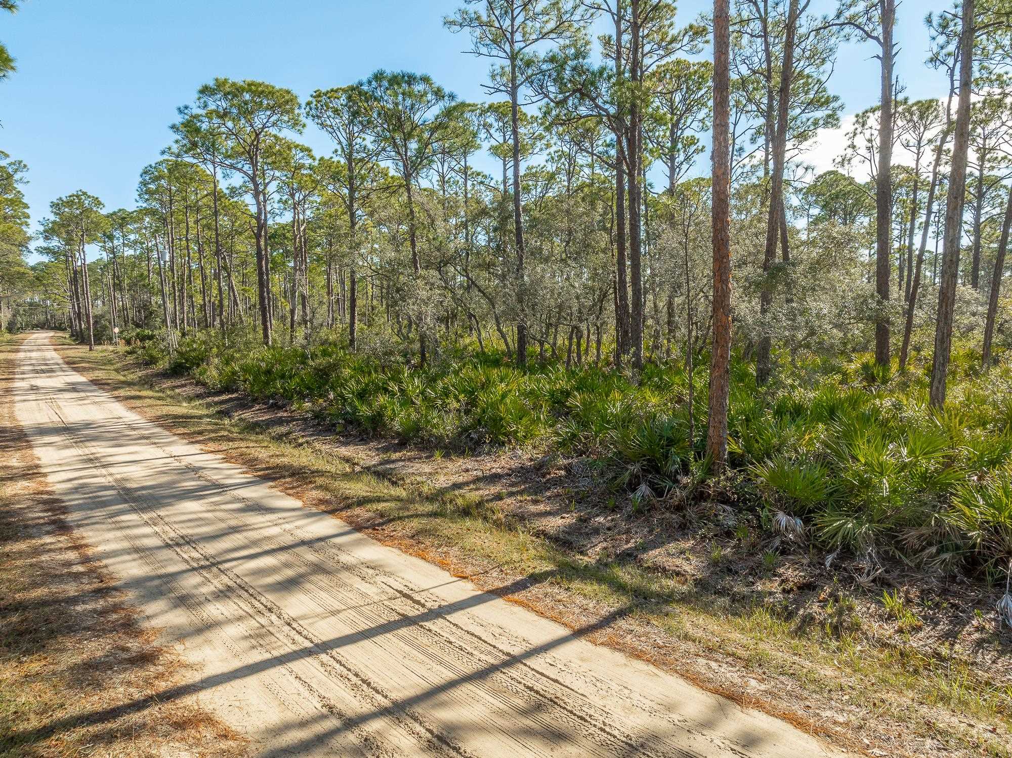 86 Lakeview Drive, Bald Point, Texas image 1