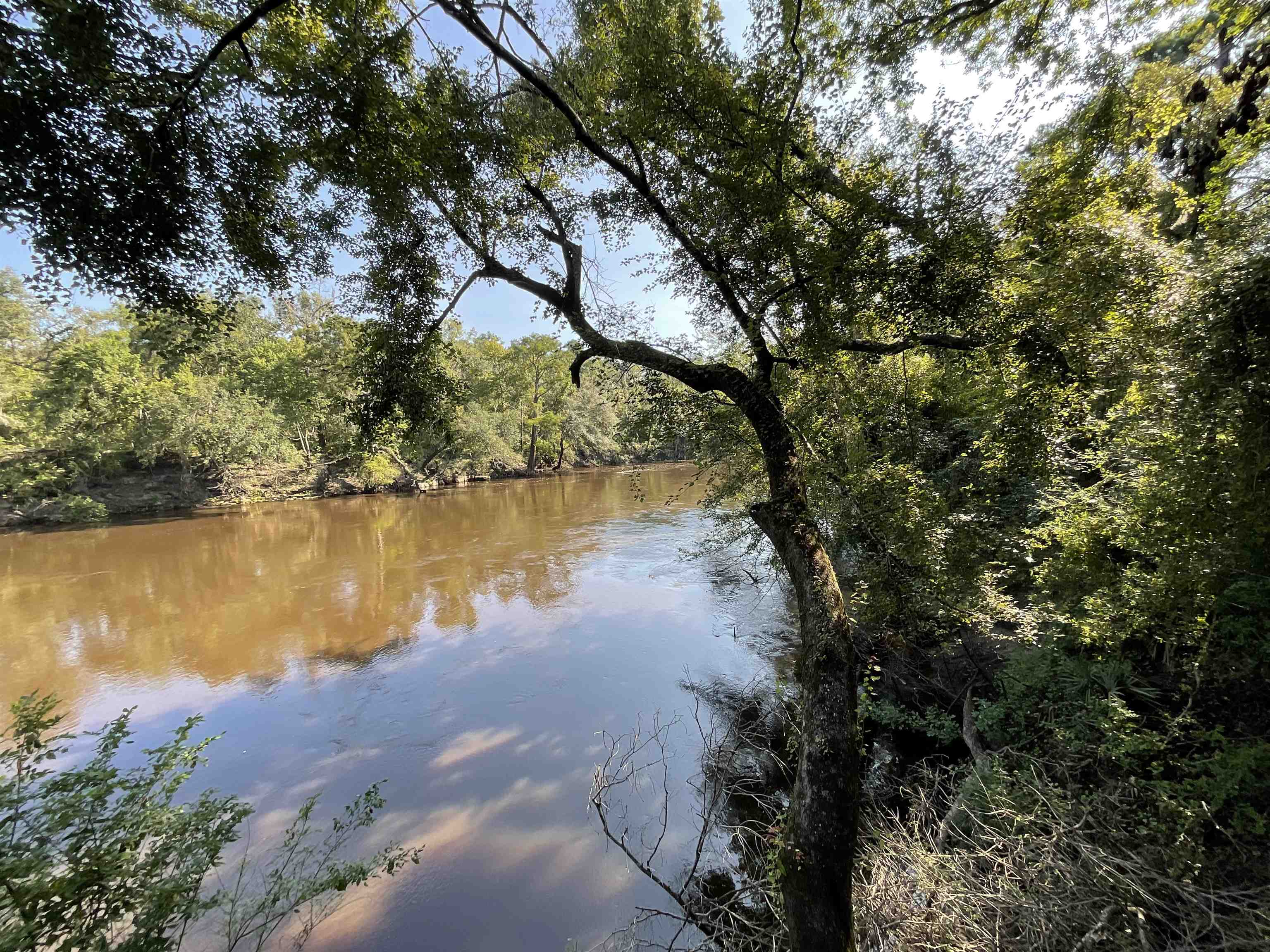 Lot 31 & 32 NE Madison Bluffs Way, Lee, Texas image 17