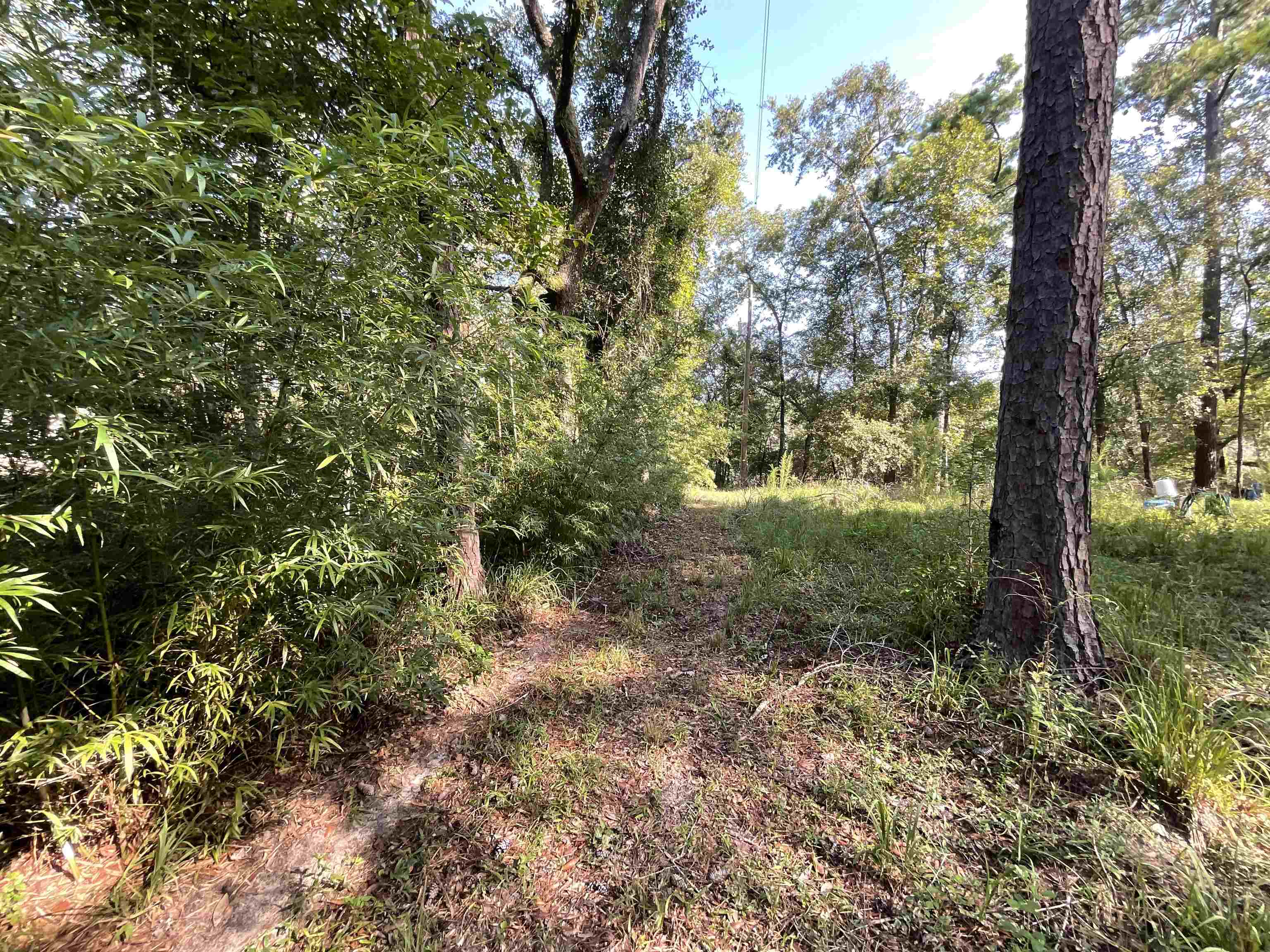 Lot 31 & 32 NE Madison Bluffs Way, Lee, Texas image 37