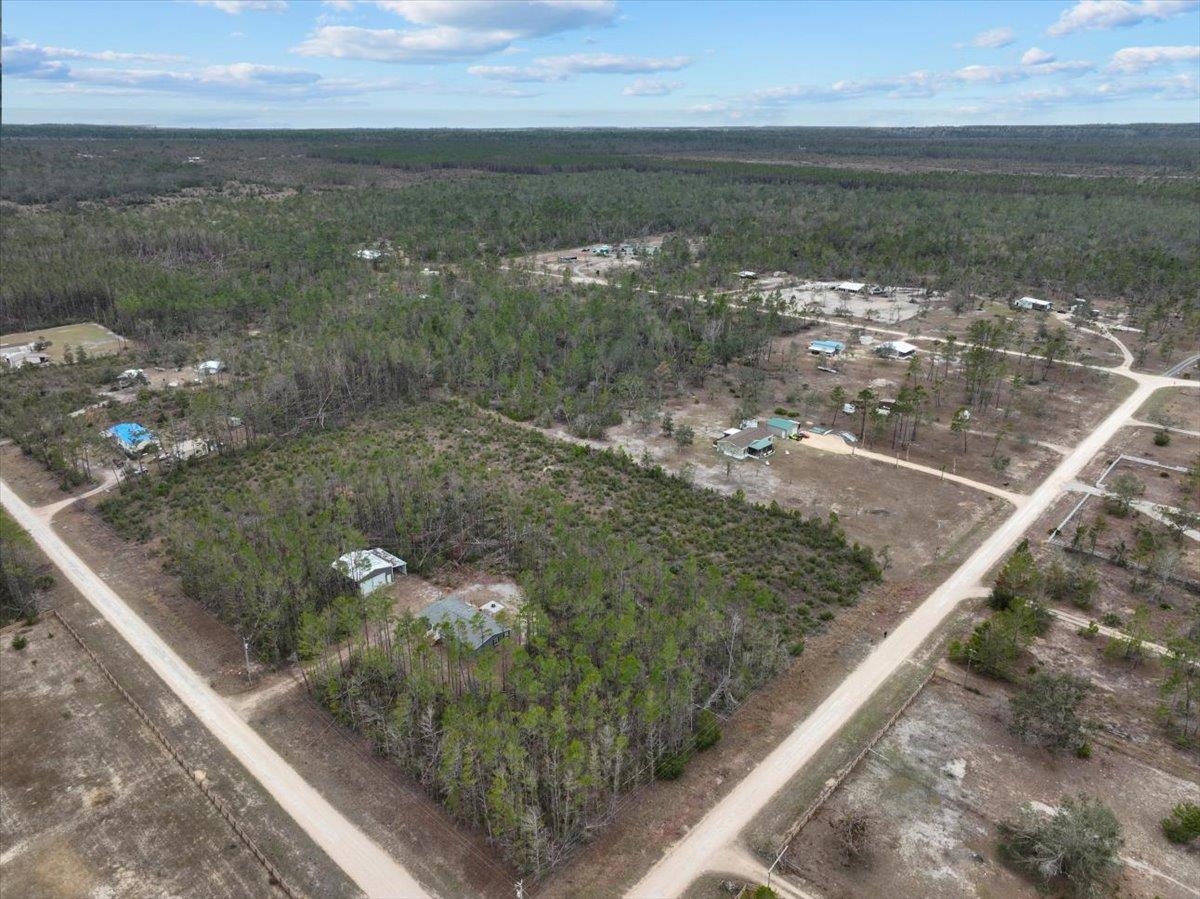 Ocean Pond Drive, Keaton Beach, Texas image 12