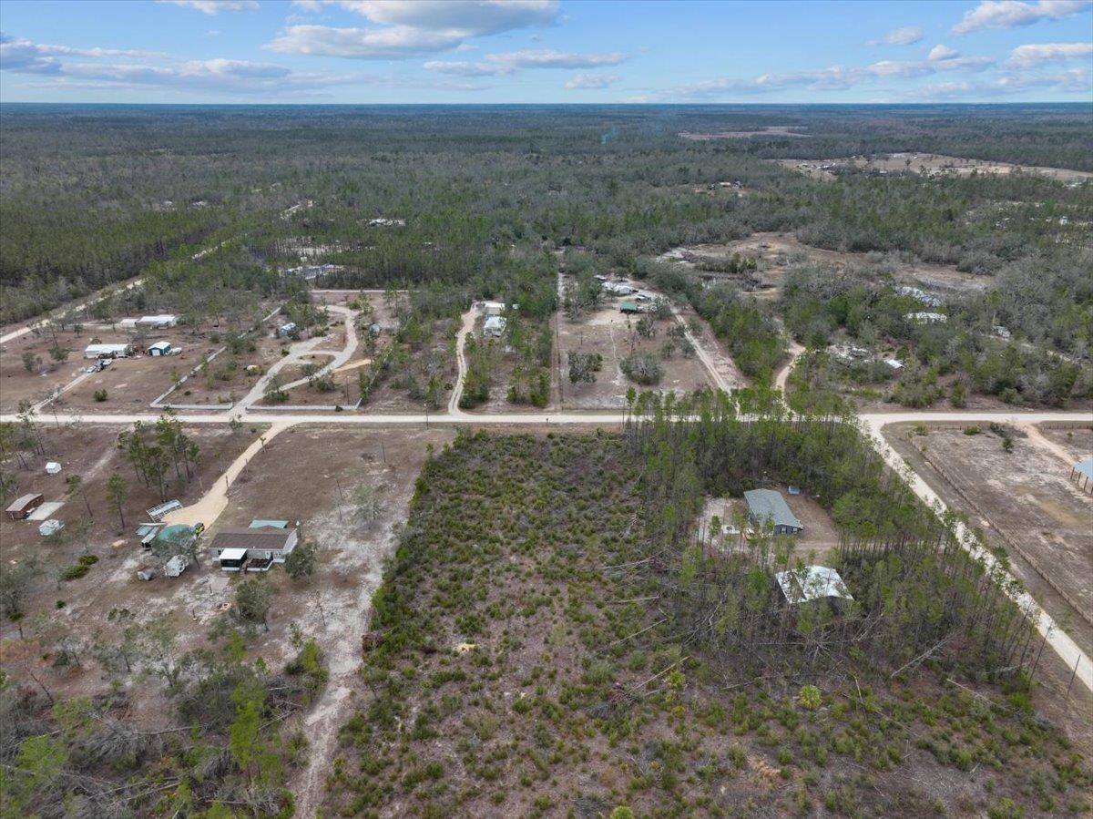 Ocean Pond Drive, Keaton Beach, Texas image 15