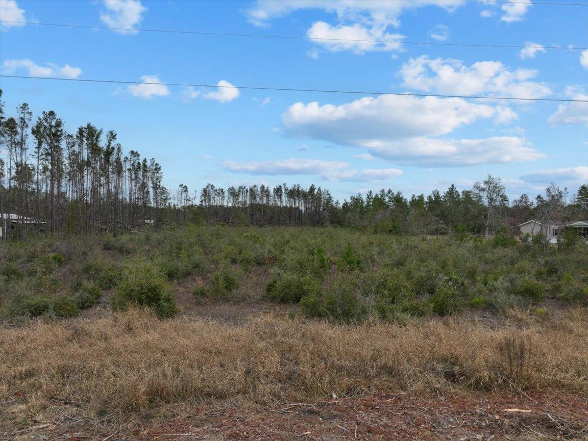 Ocean Pond Drive, Keaton Beach, Texas image 19