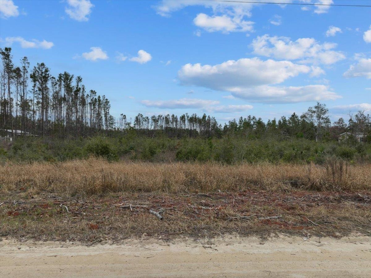 Ocean Pond Drive, Keaton Beach, Texas image 7