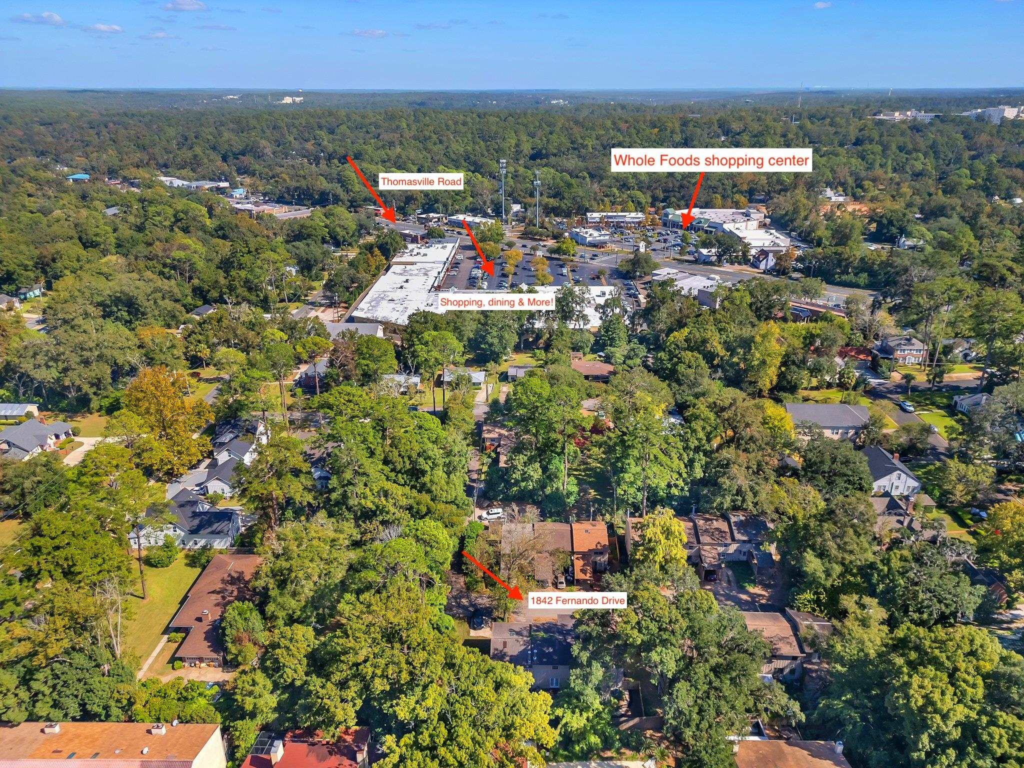 1842 Fernando Lane #A-3, Tallahassee, Florida image 41