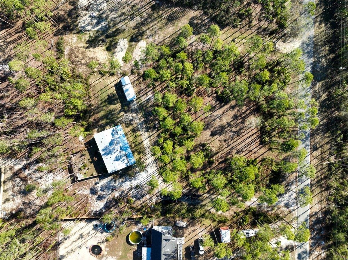1309 NE Sugar Hill Lane, Steinhatchee, Florida image 38