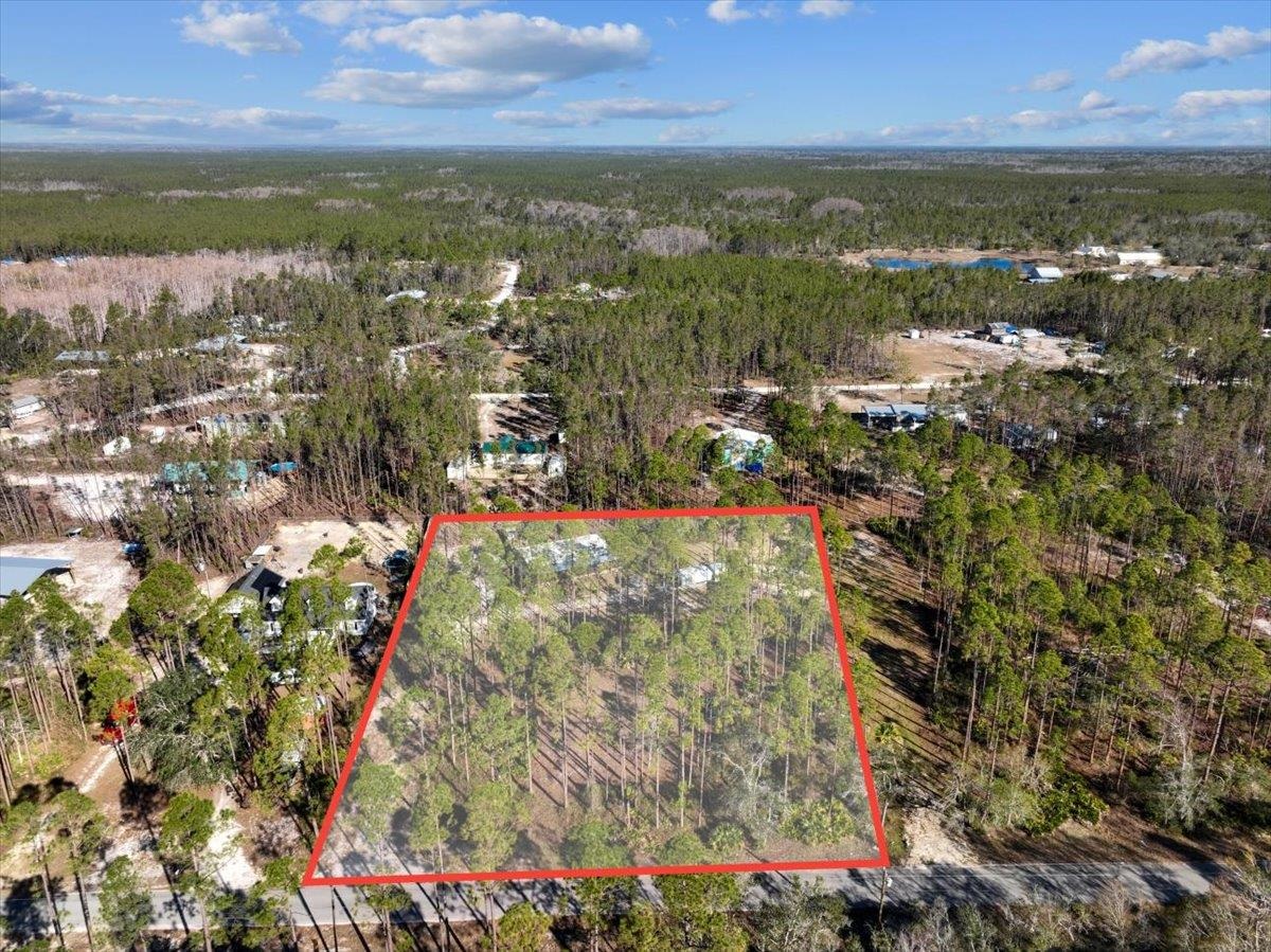 1309 NE Sugar Hill Lane, Steinhatchee, Florida image 40