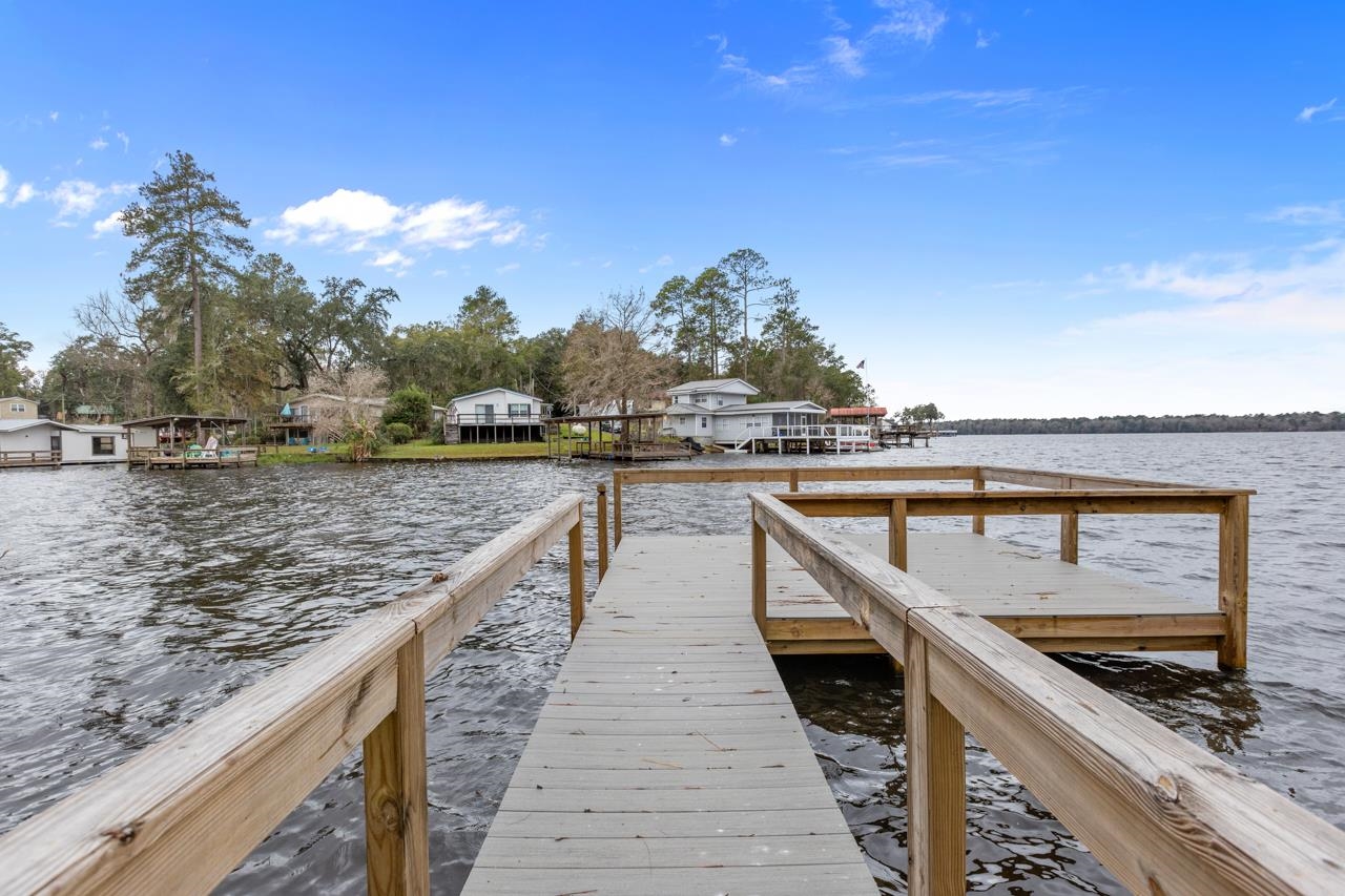 24136 Lanier Street, Tallahassee, Florida image 1