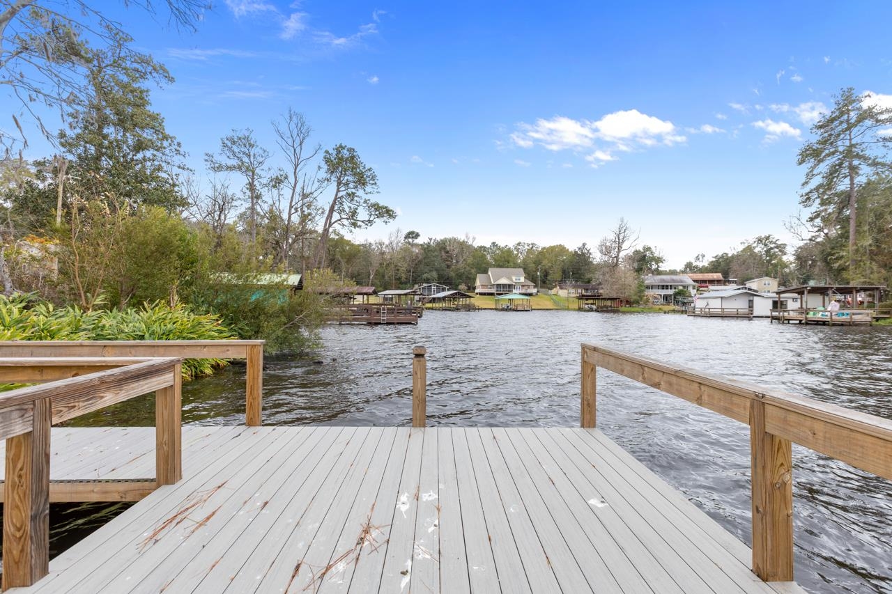 24136 Lanier Street, Tallahassee, Texas image 24