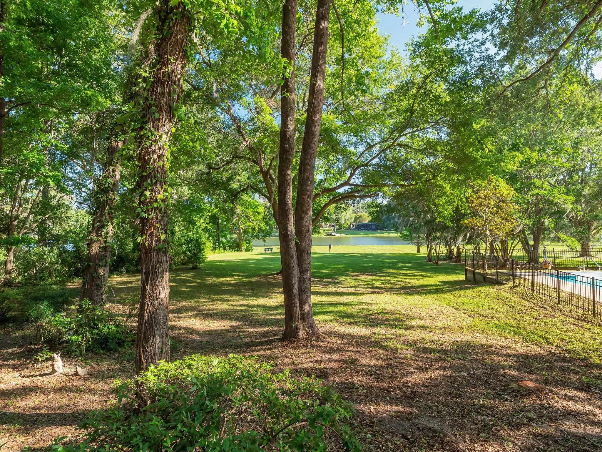 3163 Ferns Glen Drive, Tallahassee, Florida image 39