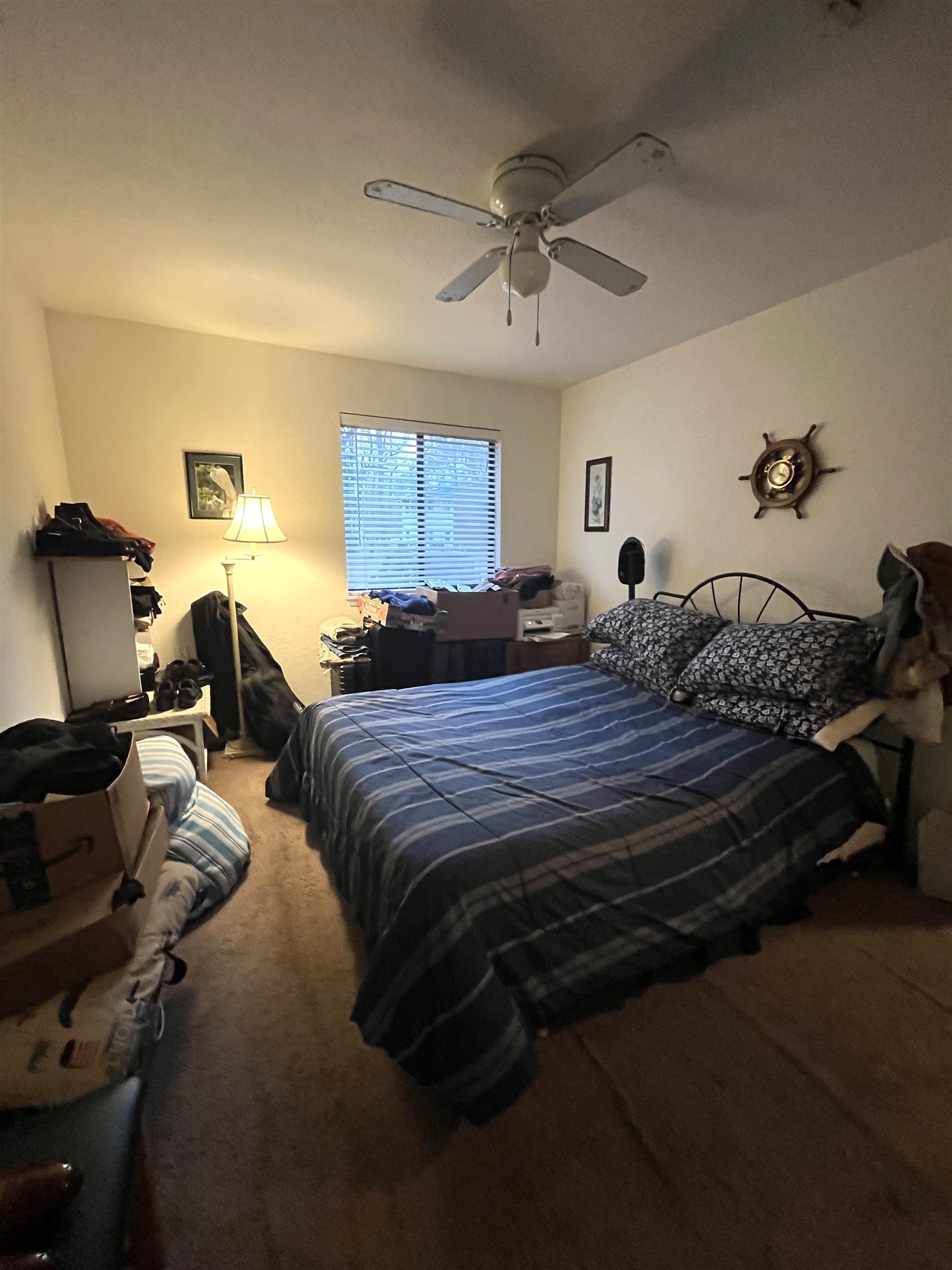 317 Mabry Street #213, Tallahassee, Florida image 6