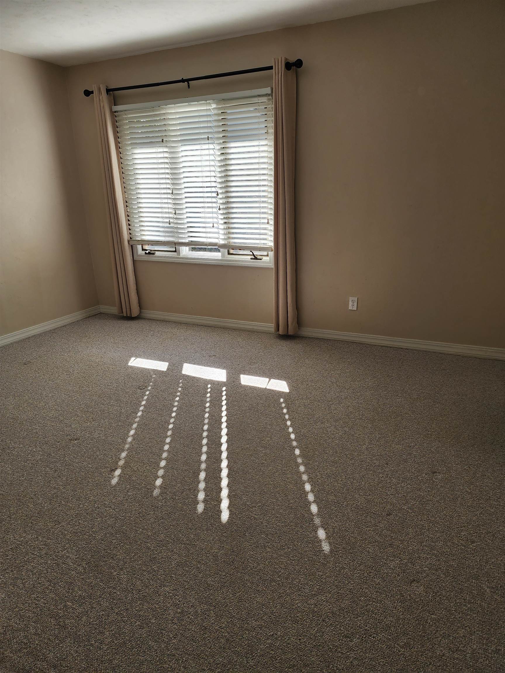 1904 Miccosukee Road #8-A, Tallahassee, Florida image 32