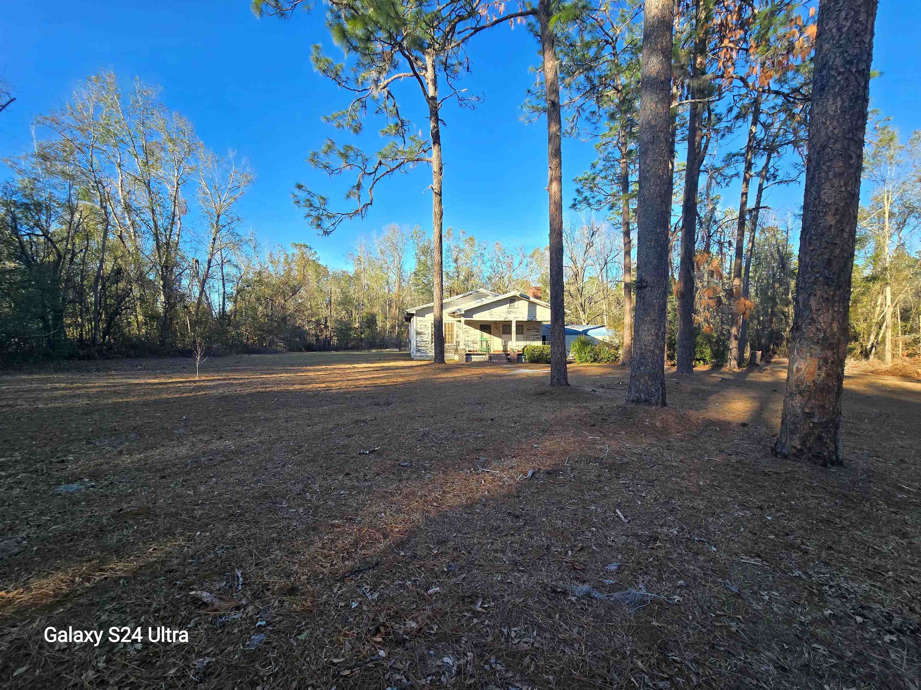 6389 NE Hickory Grove Roads, Pinetta (Madison County), Texas image 3