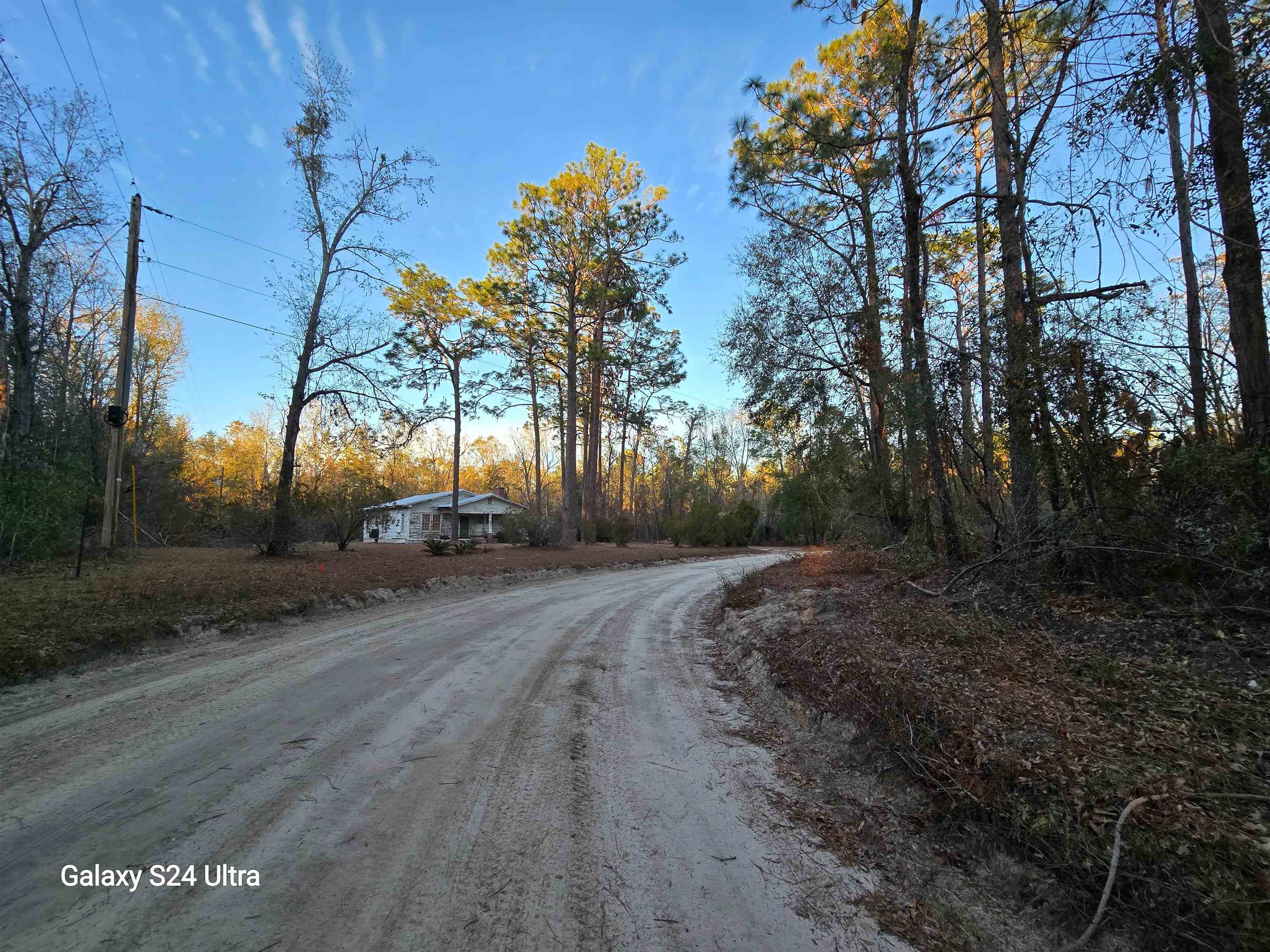 6389 NE Hickory Grove Roads, Pinetta (Madison County), Texas image 35