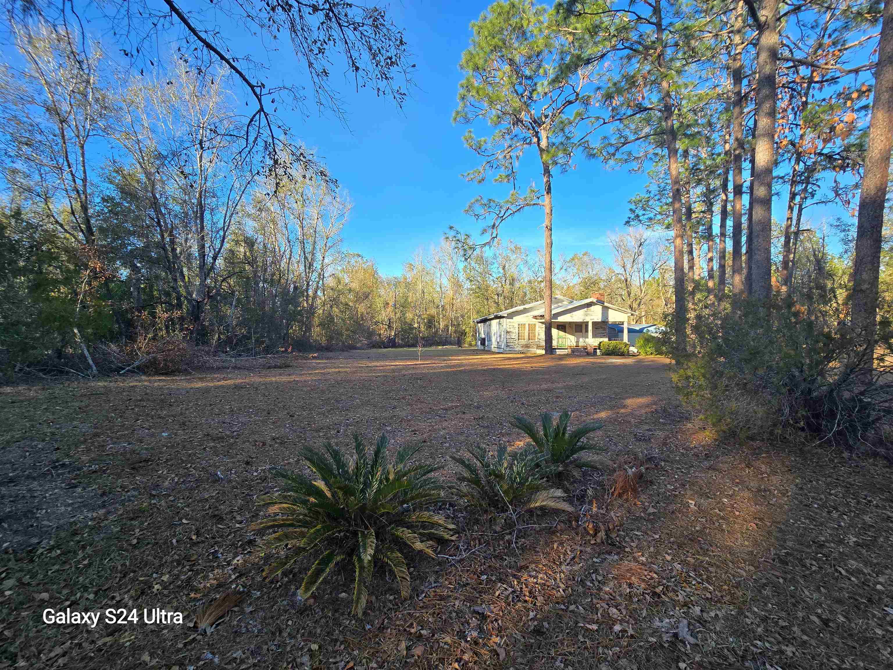 6389 NE Hickory Grove Roads, Pinetta (Madison County), Texas image 4