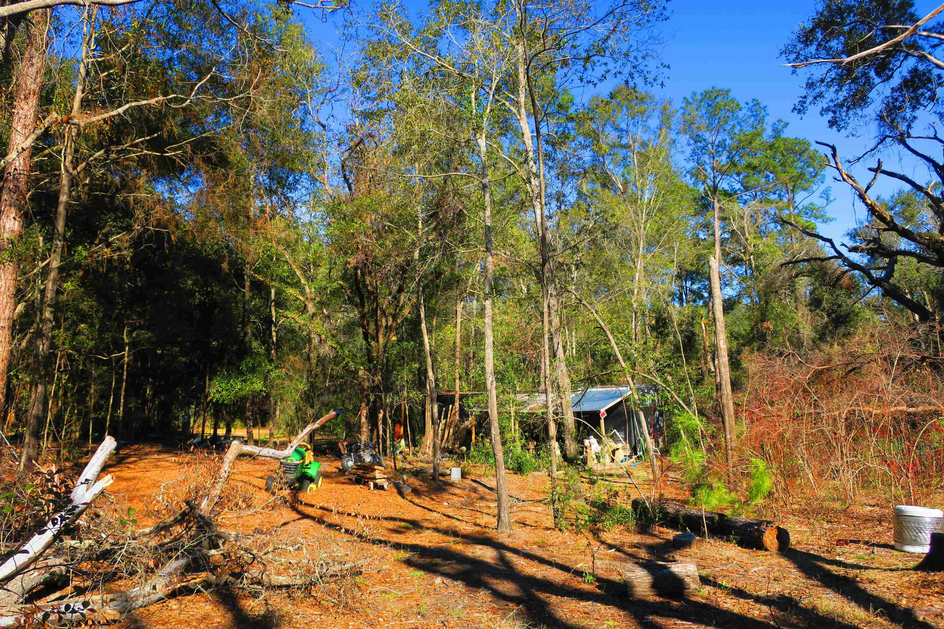 1836 Chena Drive, Tallahassee, Florida image 14