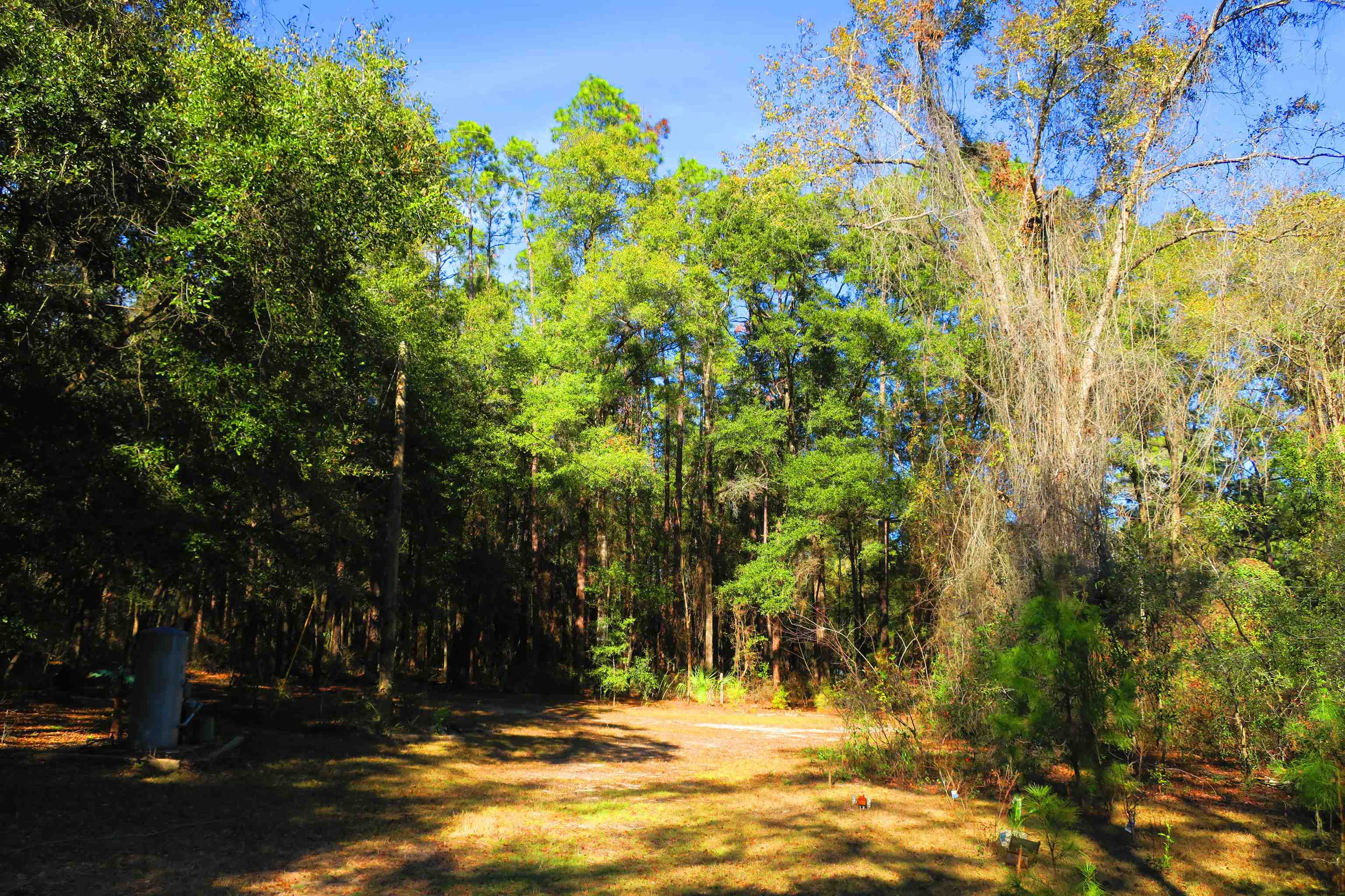 1836 Chena Drive, Tallahassee, Florida image 15