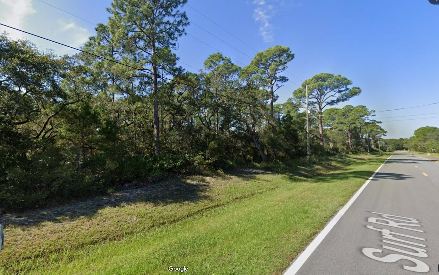 XX Surf Road, Panacea, Florida image 1