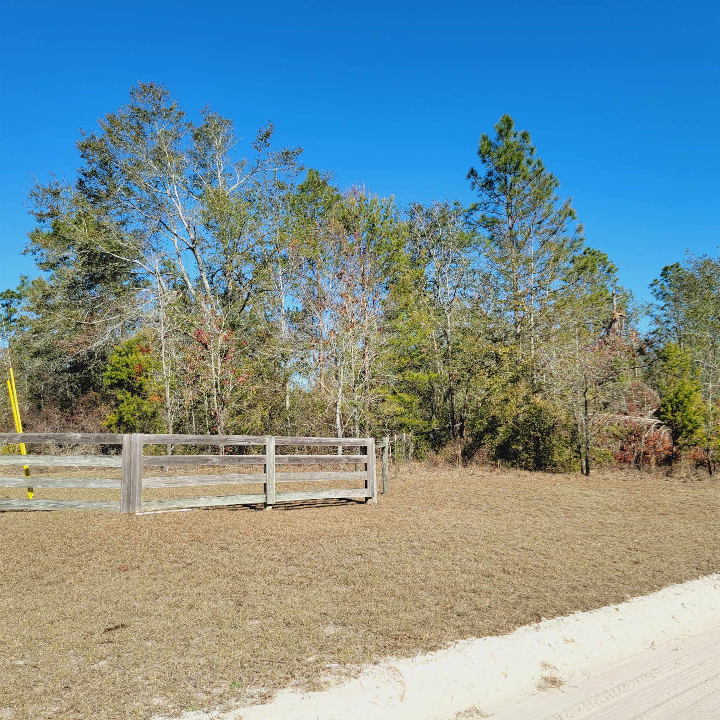 40 AC SE Winquepin Street, Lee, Florida image 1