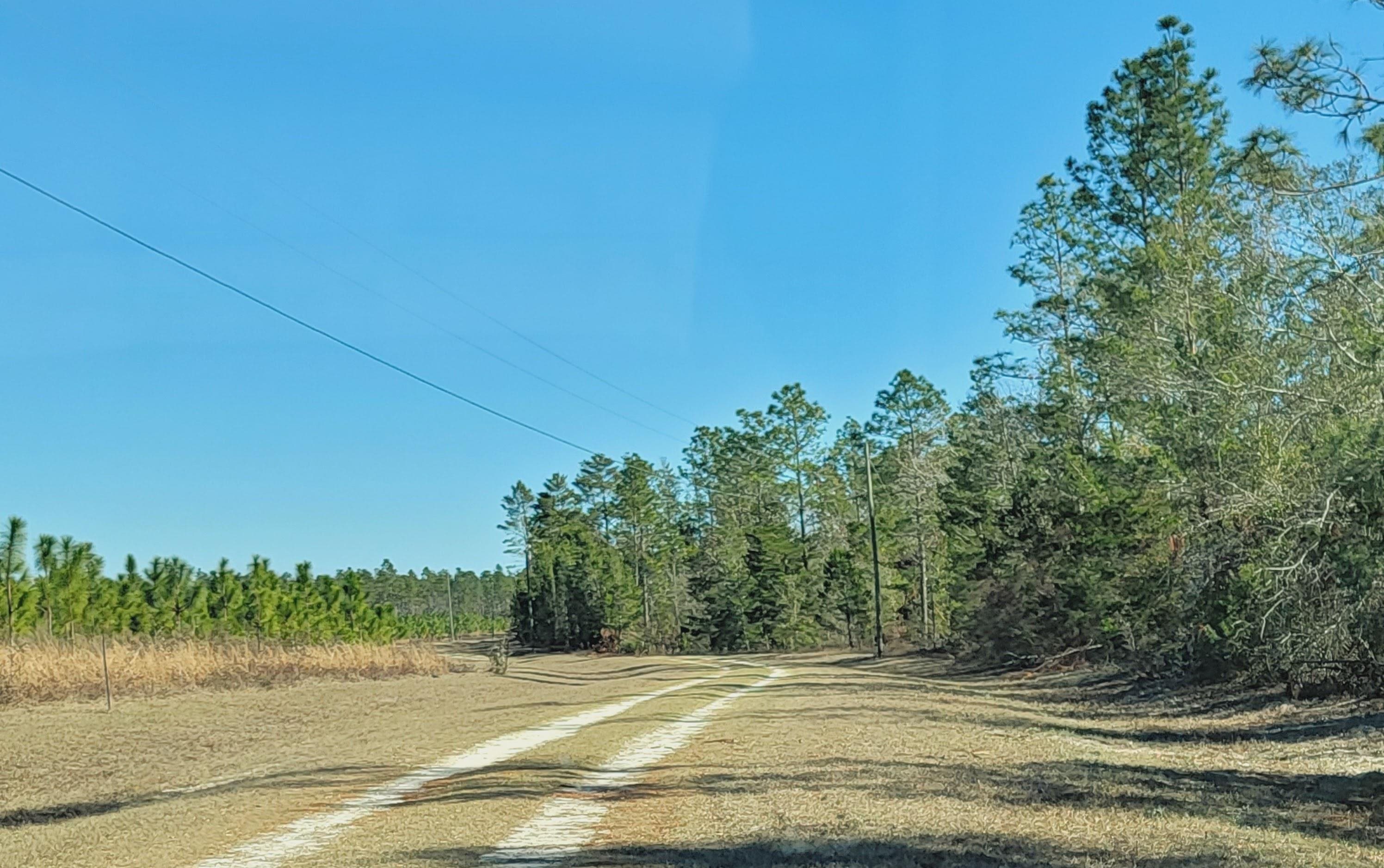 40 AC SE Winquepin Street, Lee, Florida image 12