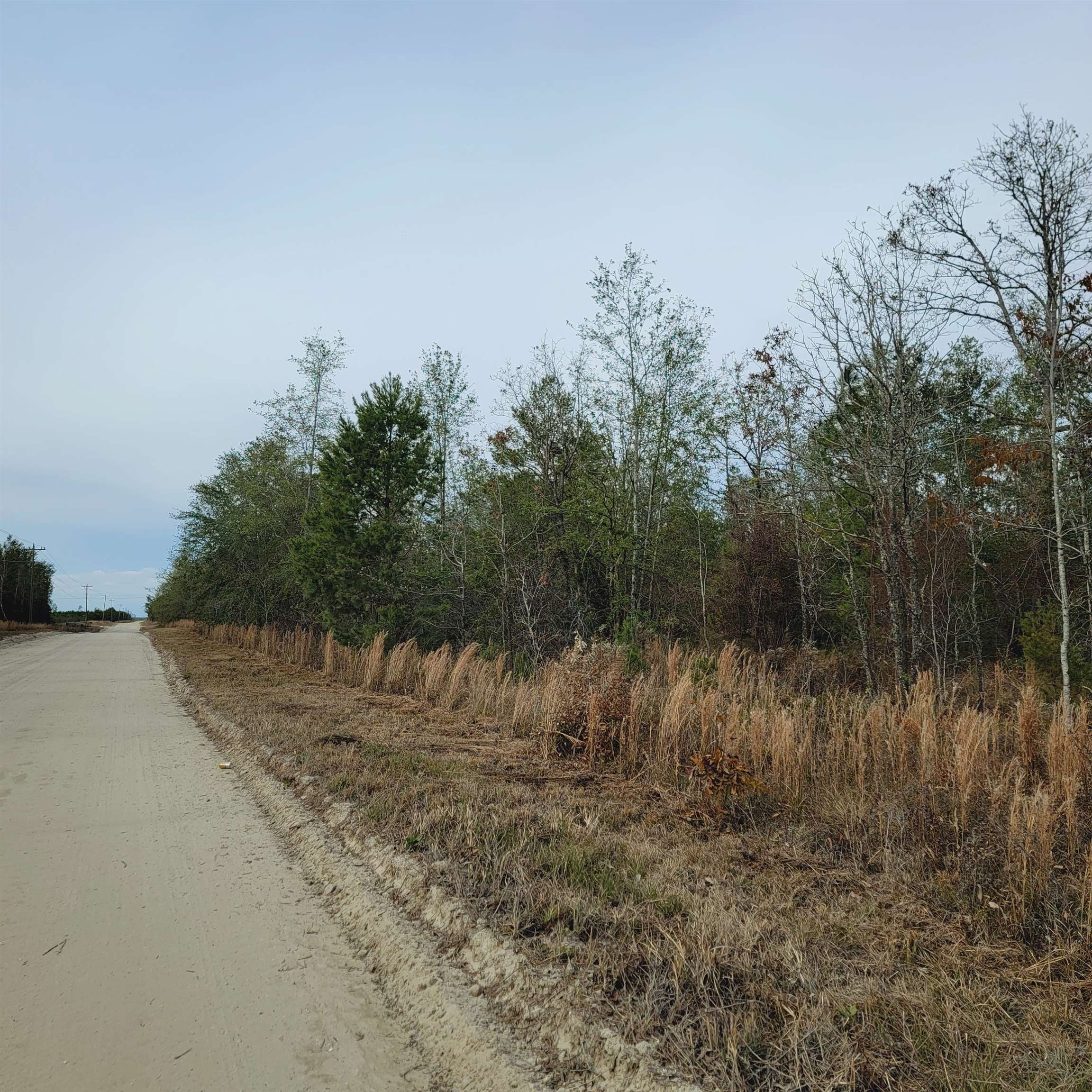 40 AC SE Winquepin Street, Lee, Florida image 16