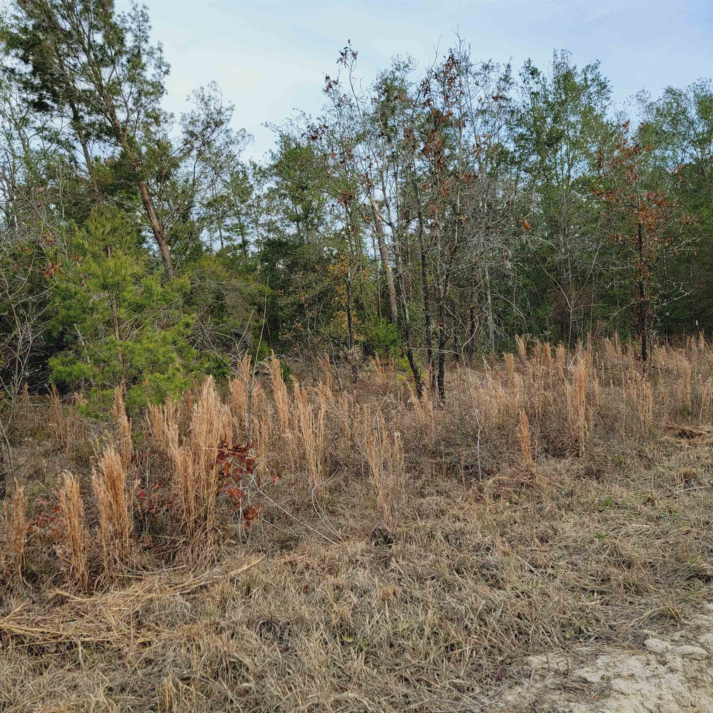 40 AC SE Winquepin Street, Lee, Florida image 18
