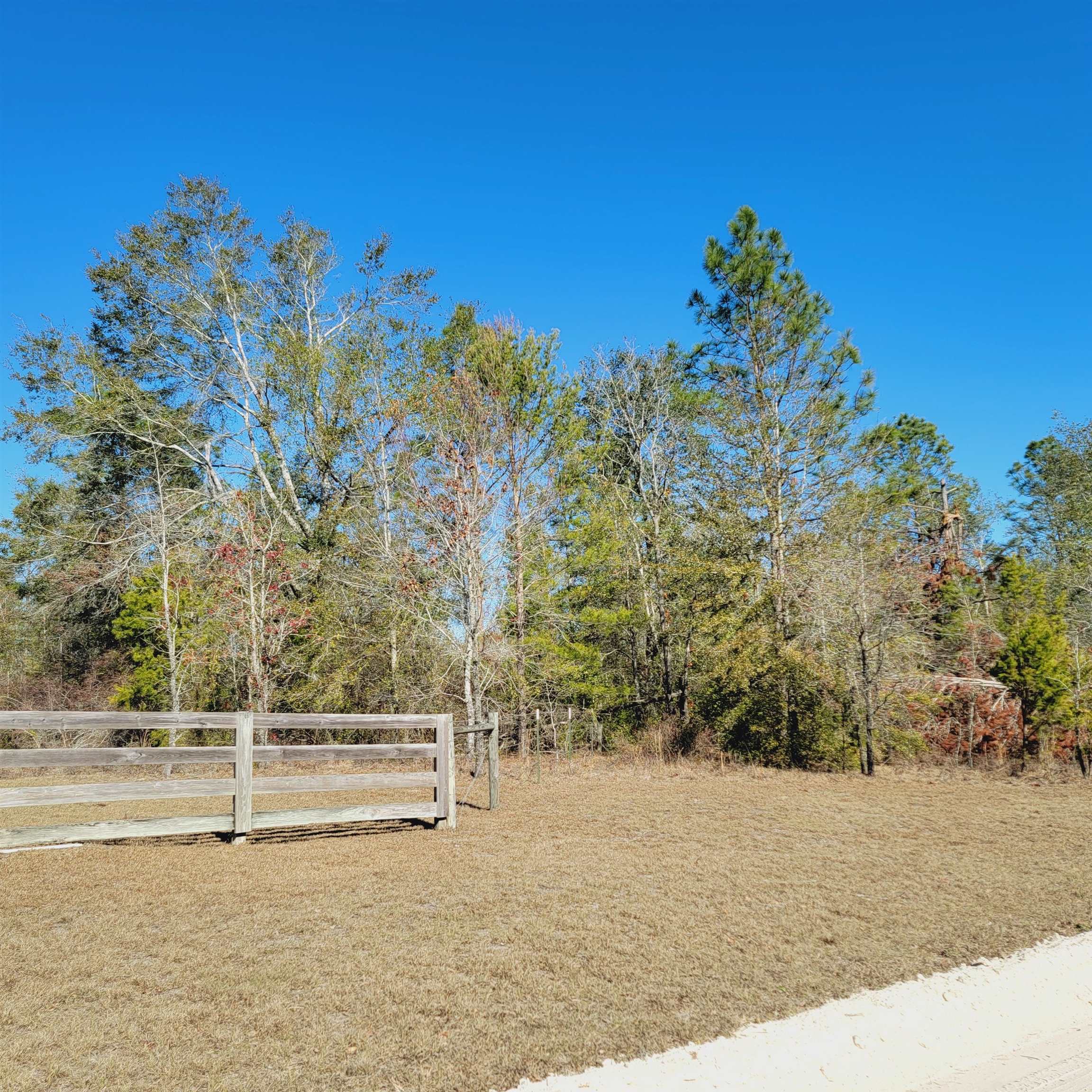 40 AC SE Winquepin Street, Lee, Texas image 7