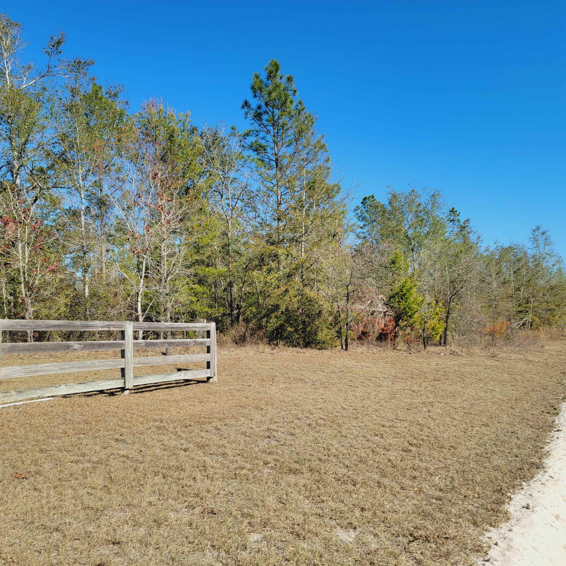 40 AC SE Winquepin Street, Lee, Florida image 8