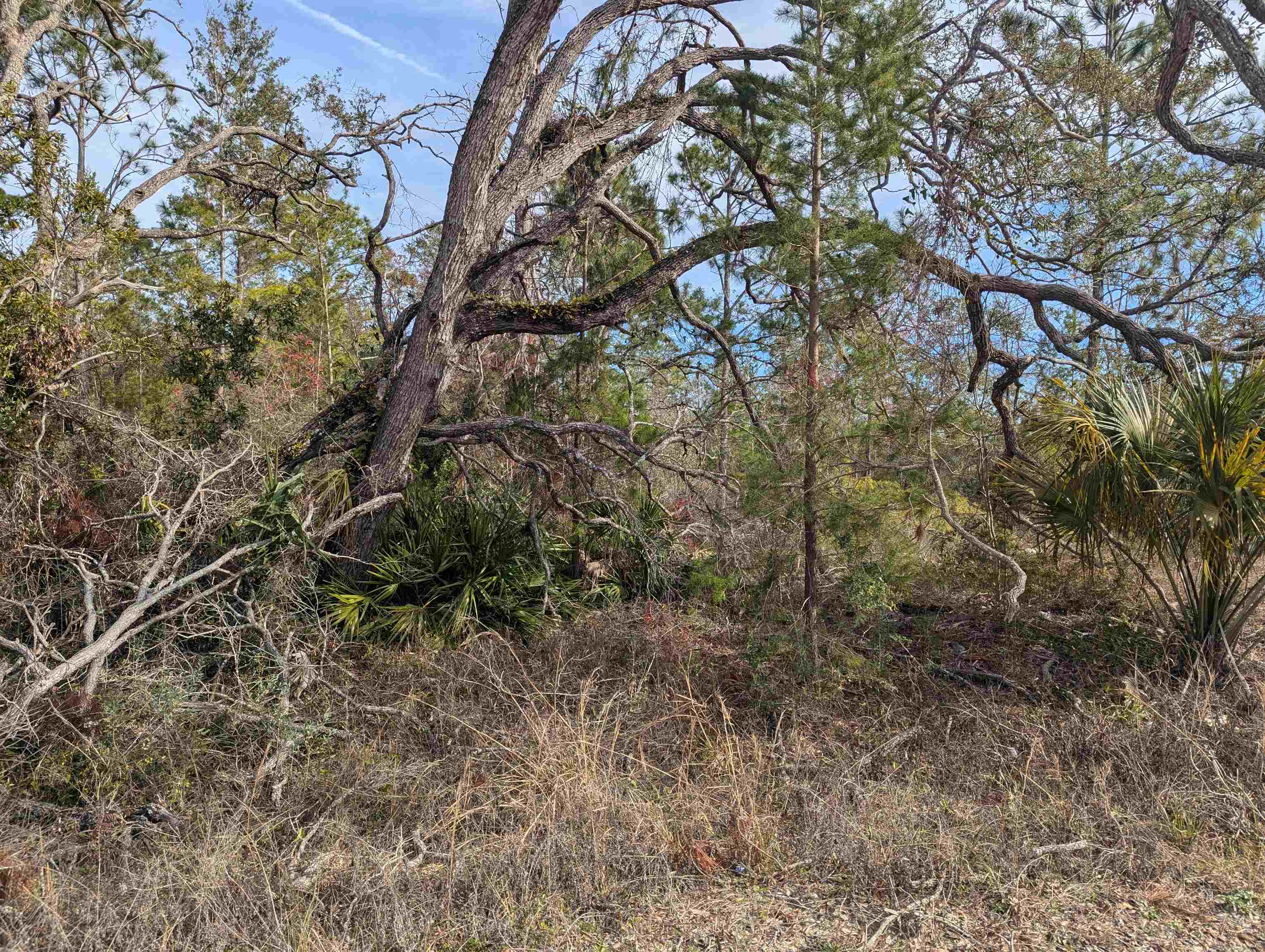 00 E Royal Oak Drive, Perry, Florida image 3