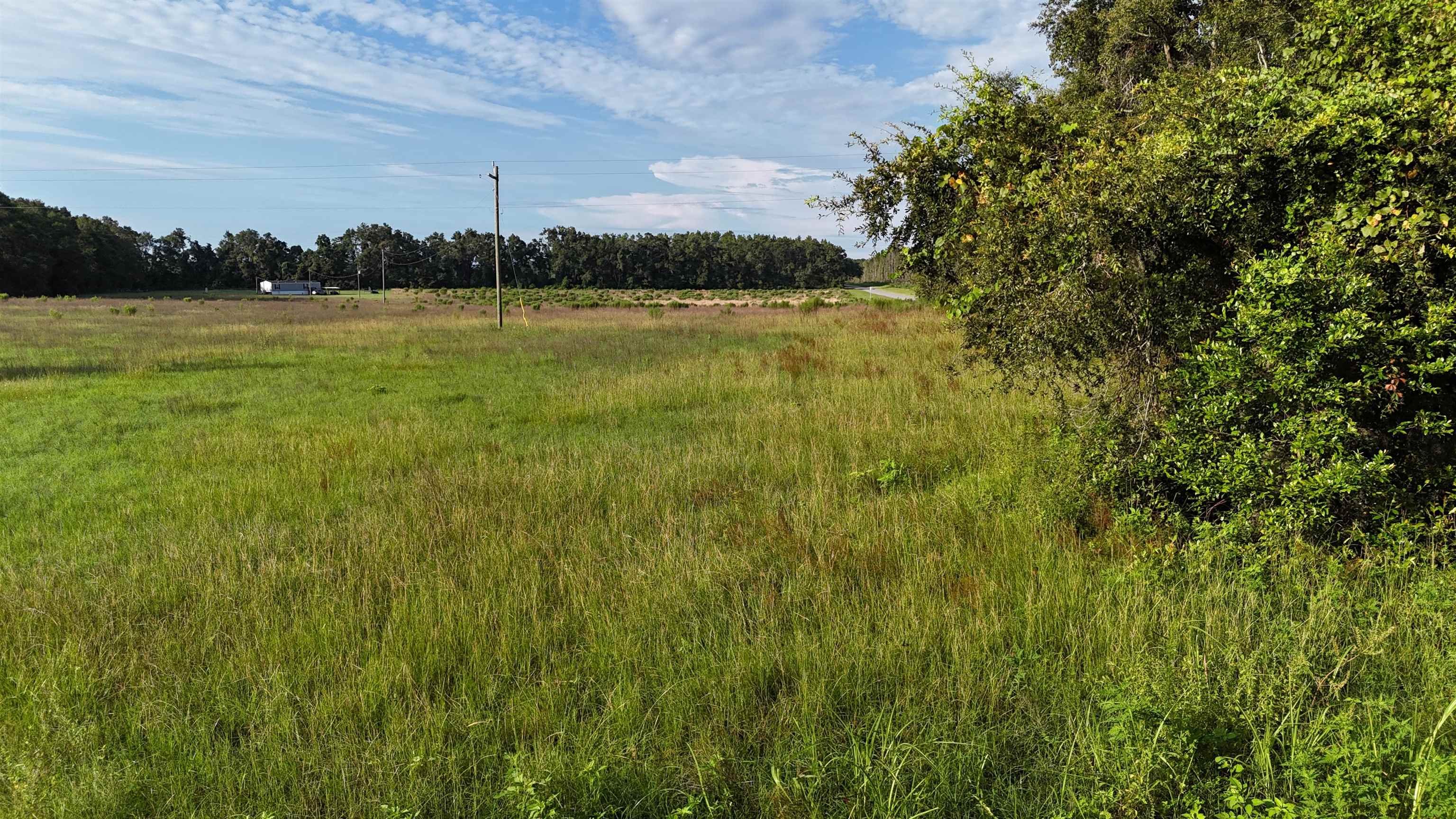 Vacant NW Cr 143, Jennings, Texas image 11