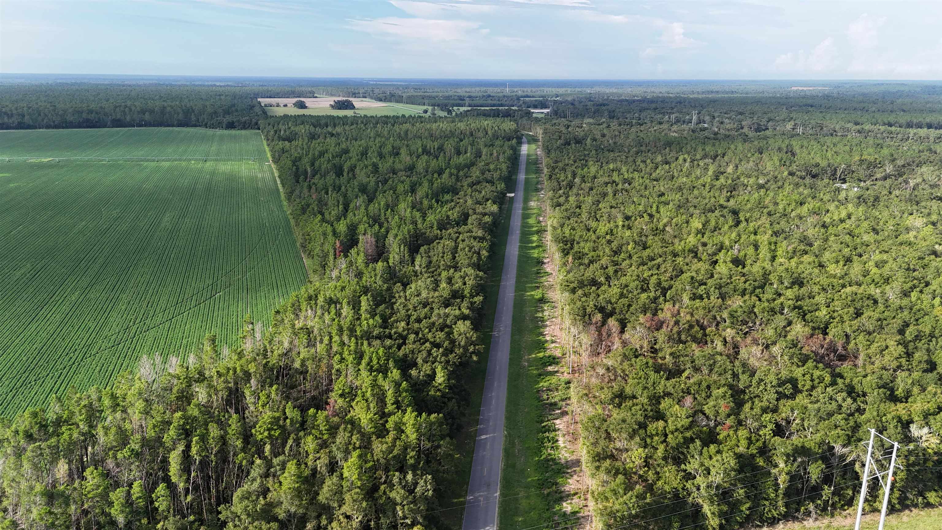 Vacant NW Cr 143, Jennings, Texas image 13