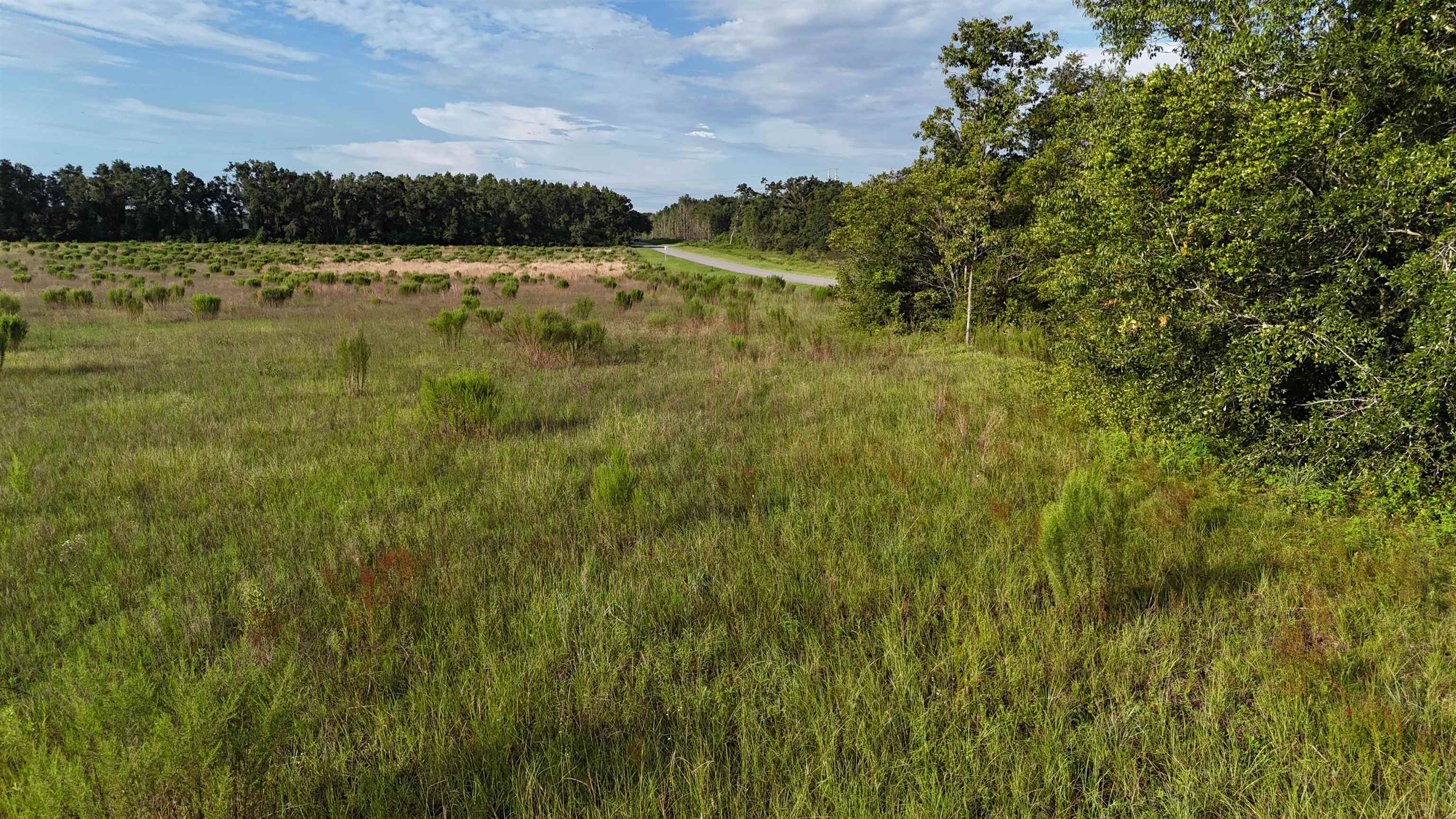 Vacant NW Cr 143, Jennings, Texas image 19