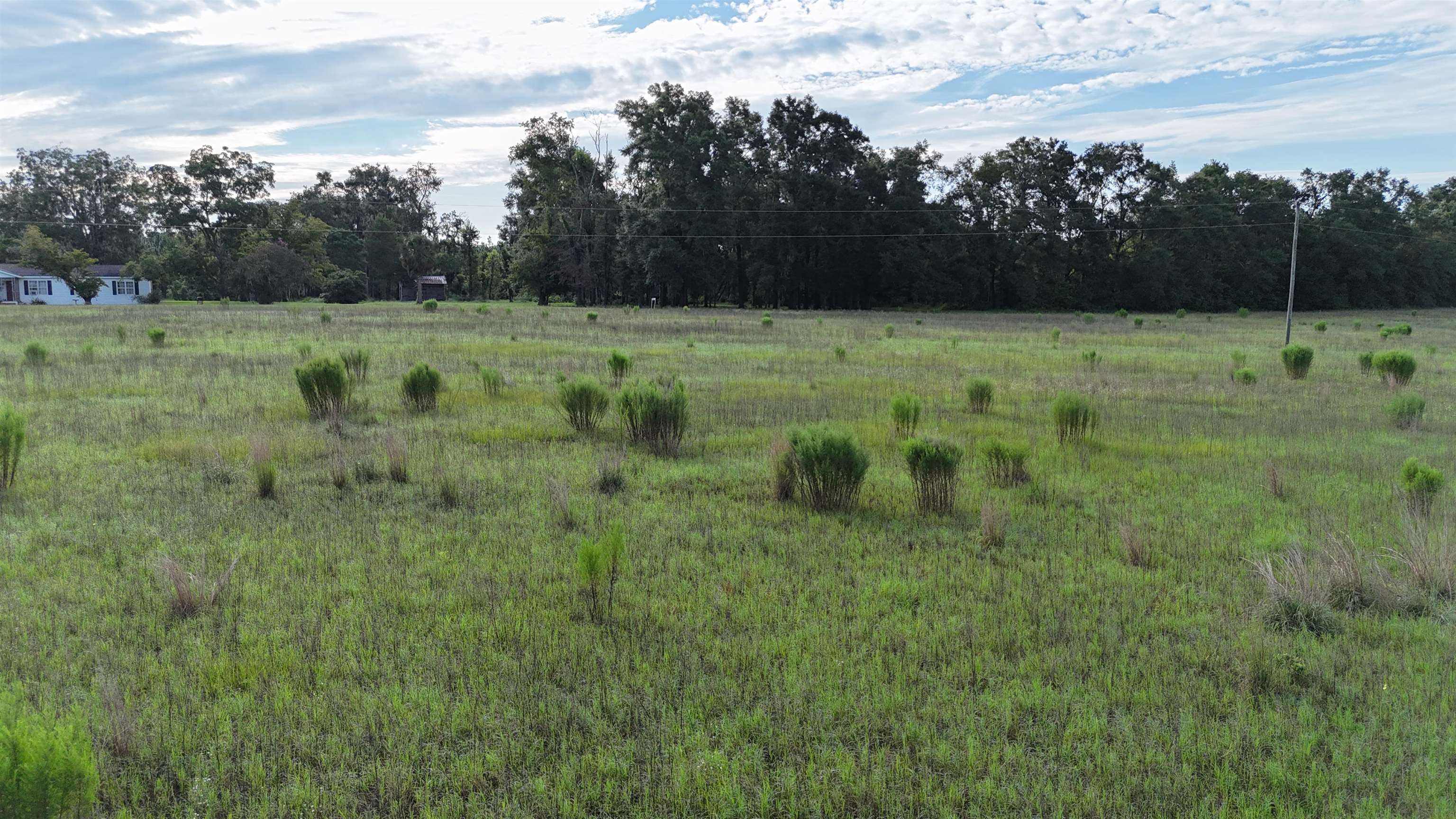 Vacant NW Cr 143, Jennings, Texas image 20