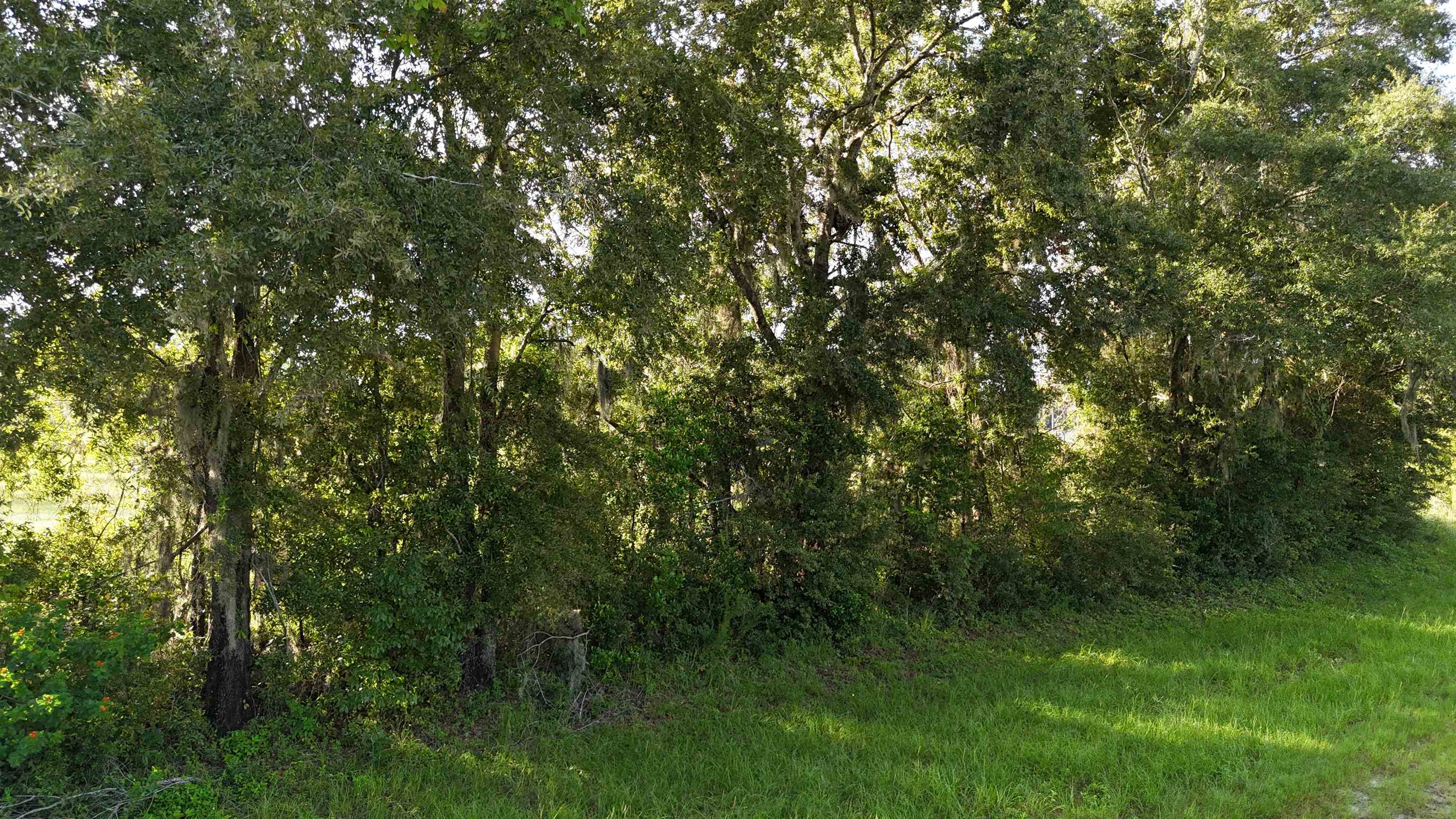 Vacant NW Cr 143, Jennings, Texas image 23