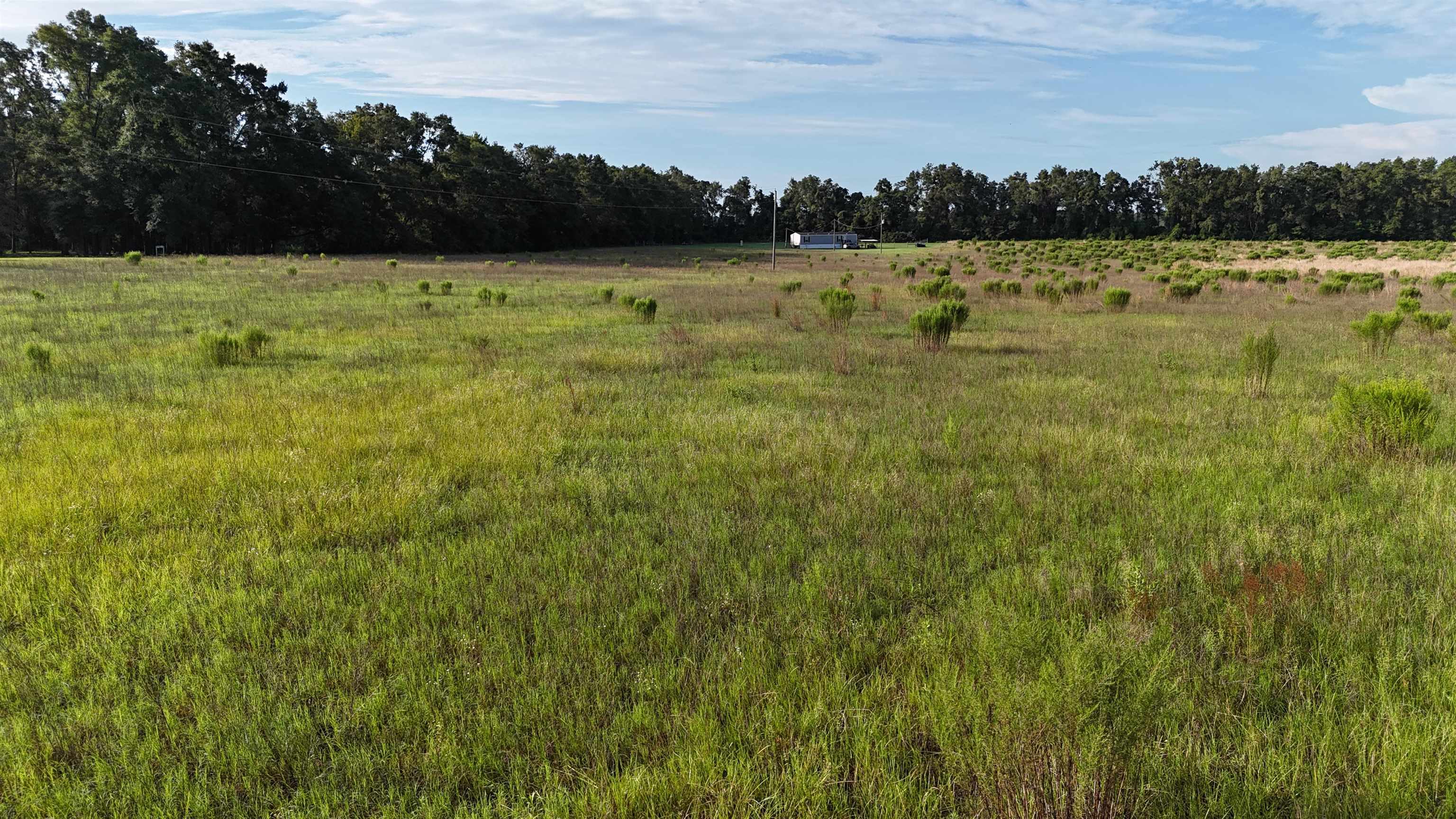 Vacant NW Cr 143, Jennings, Texas image 24