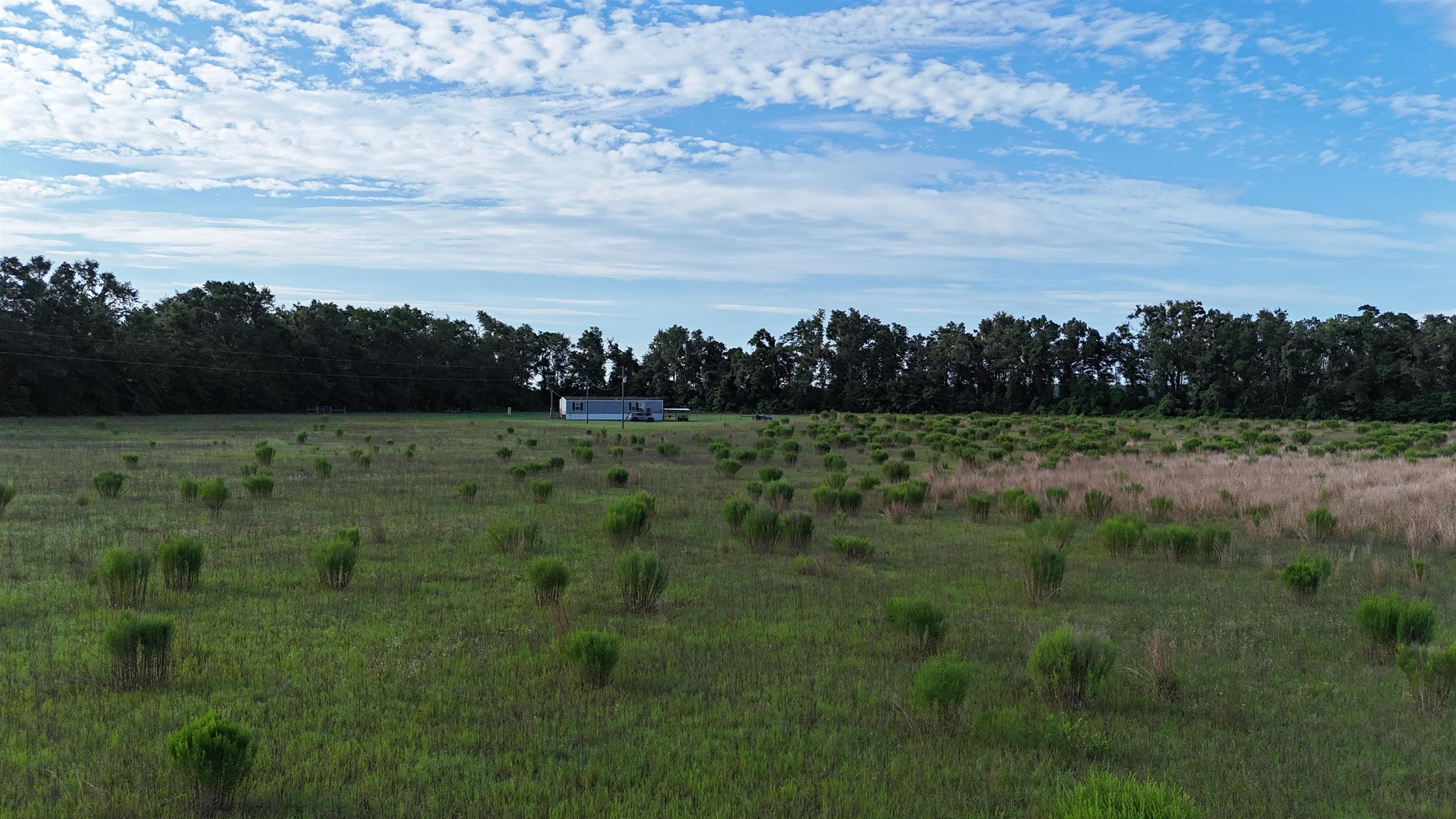 Vacant NW Cr 143, Jennings, Texas image 30