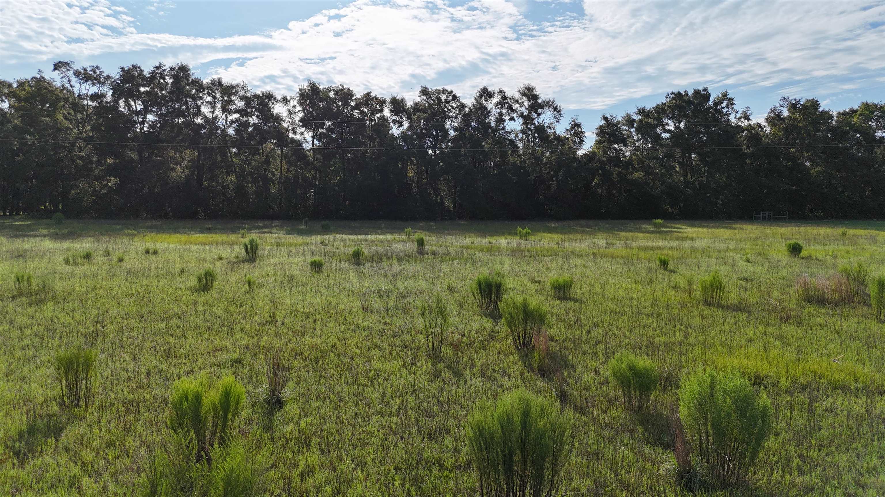 Vacant NW Cr 143, Jennings, Texas image 35