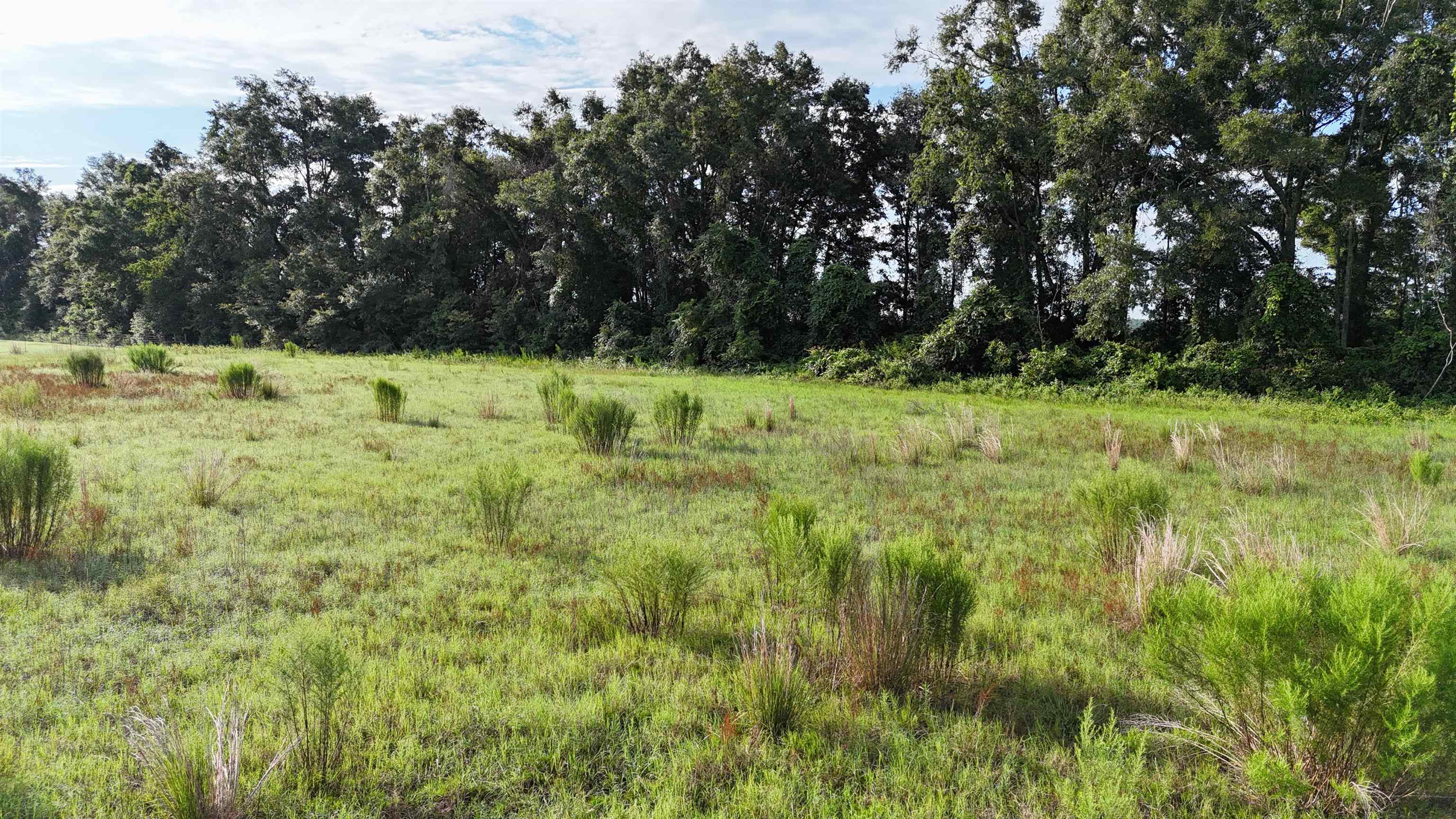 Vacant NW Cr 143, Jennings, Texas image 37