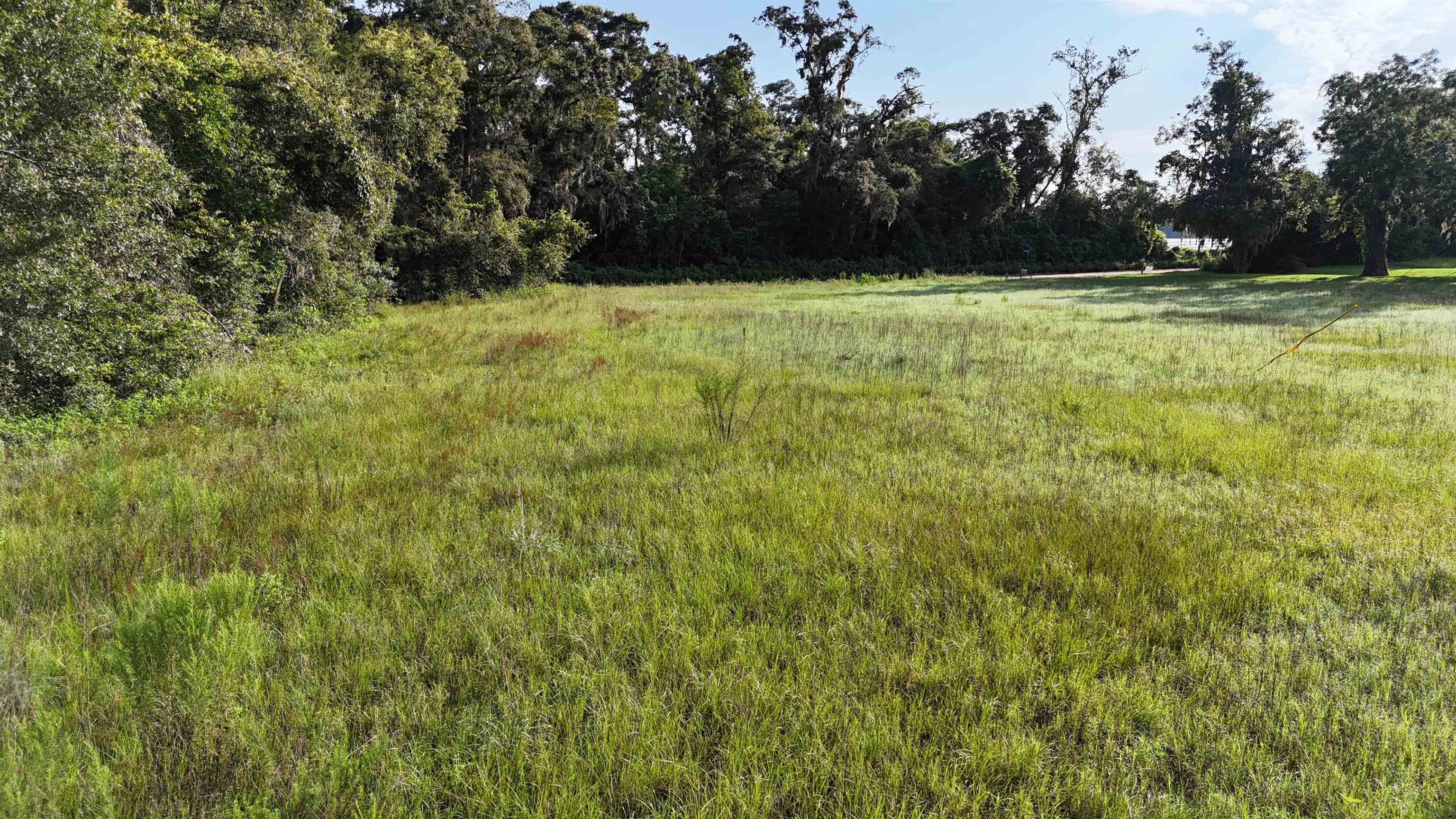 Vacant NW Cr 143, Jennings, Texas image 5