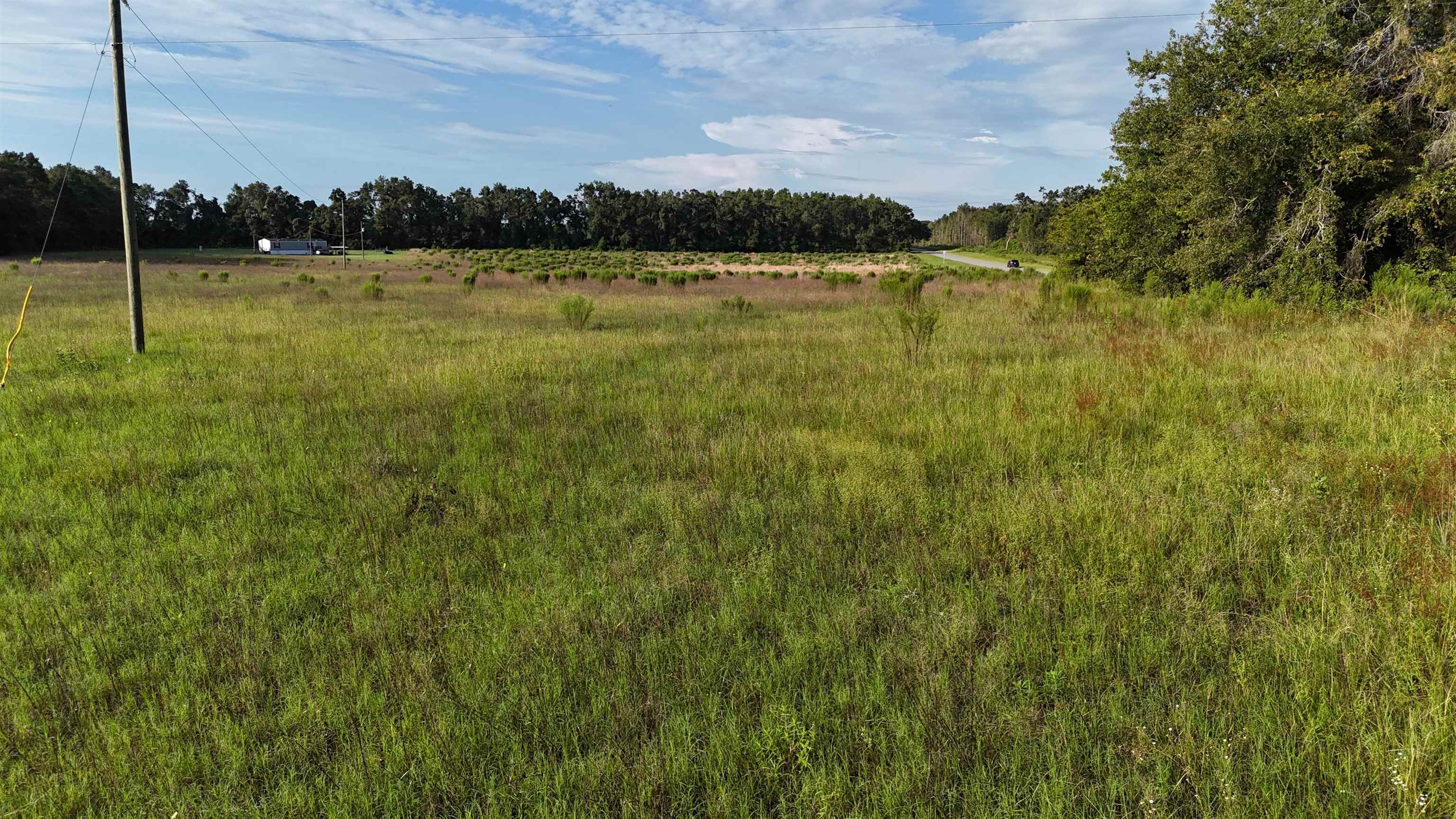 Vacant NW Cr 143, Jennings, Texas image 6