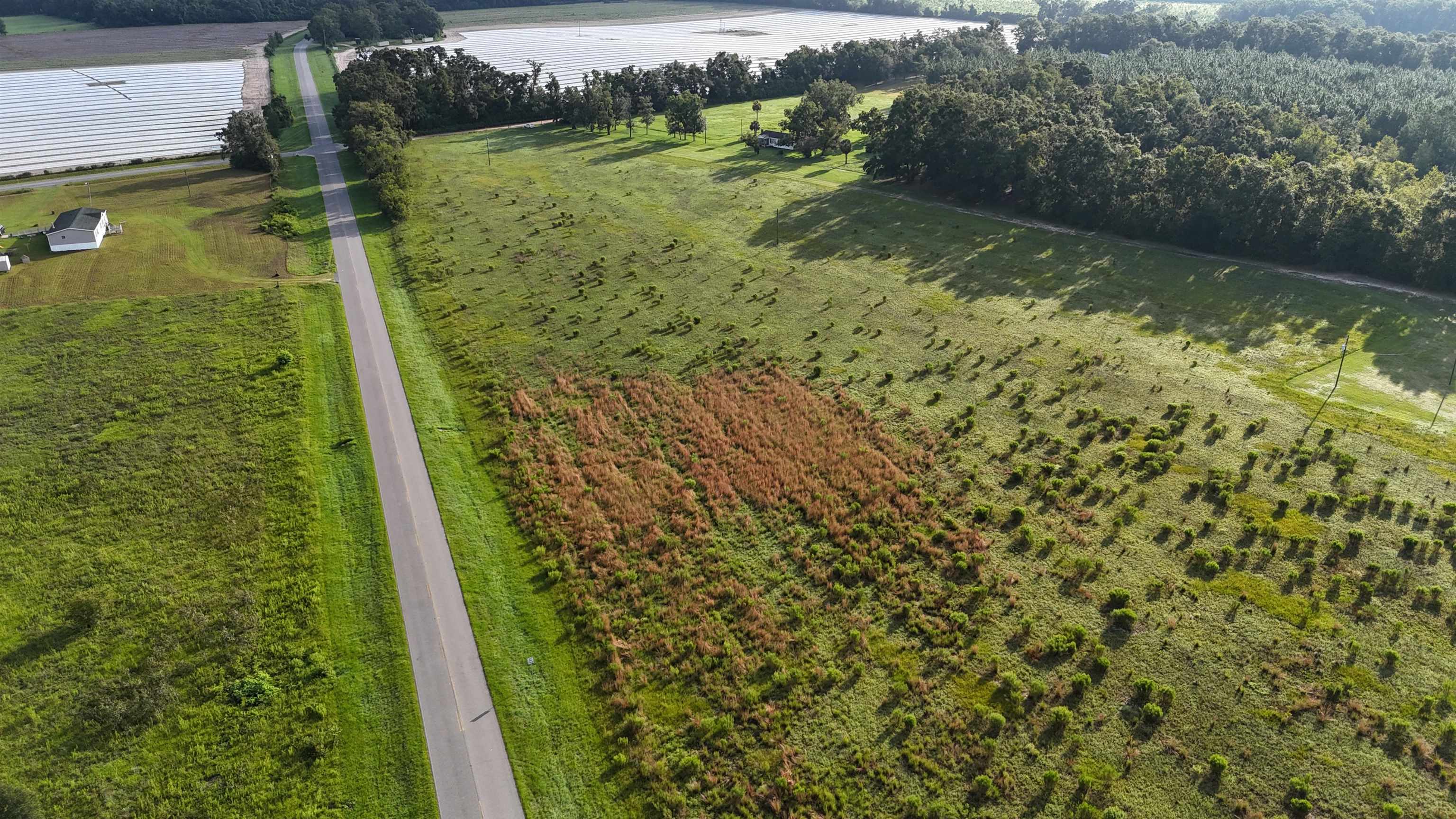 Vacant NW Cr 143, Jennings, Texas image 8