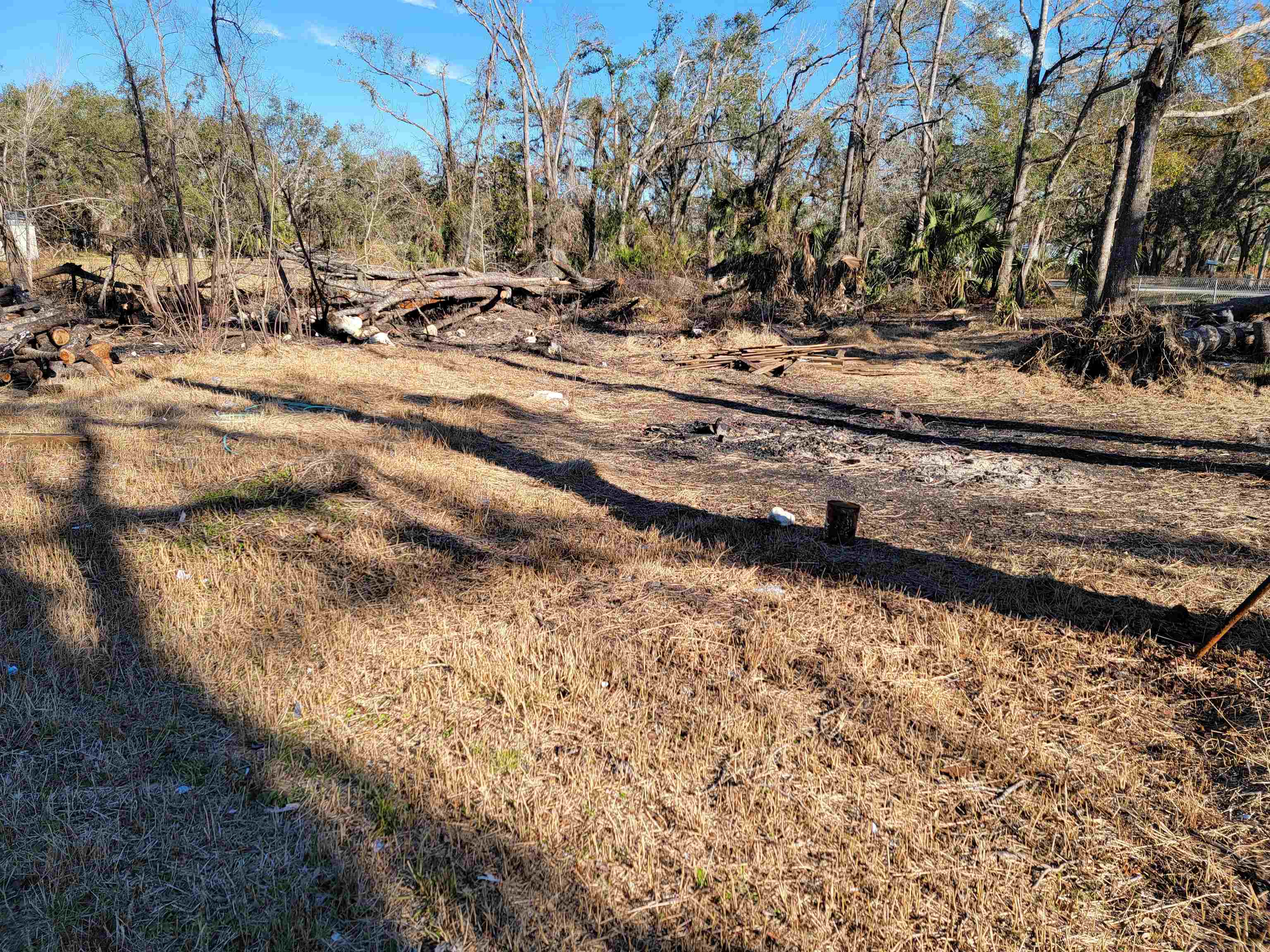 164 Leon Ward Road, Perry, Florida image 5