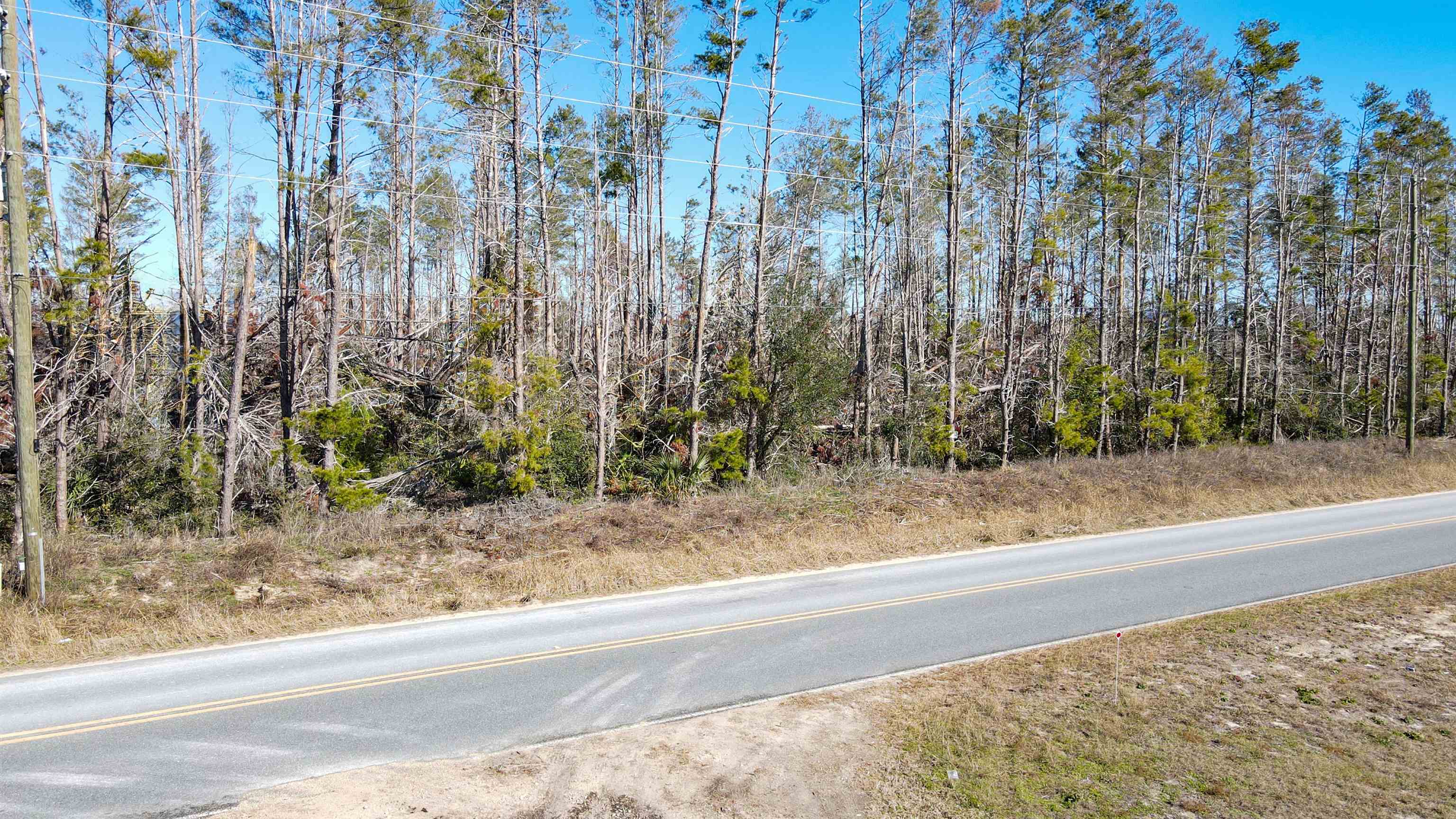 Vacant Seameadows Drive, Perry, Florida image 14