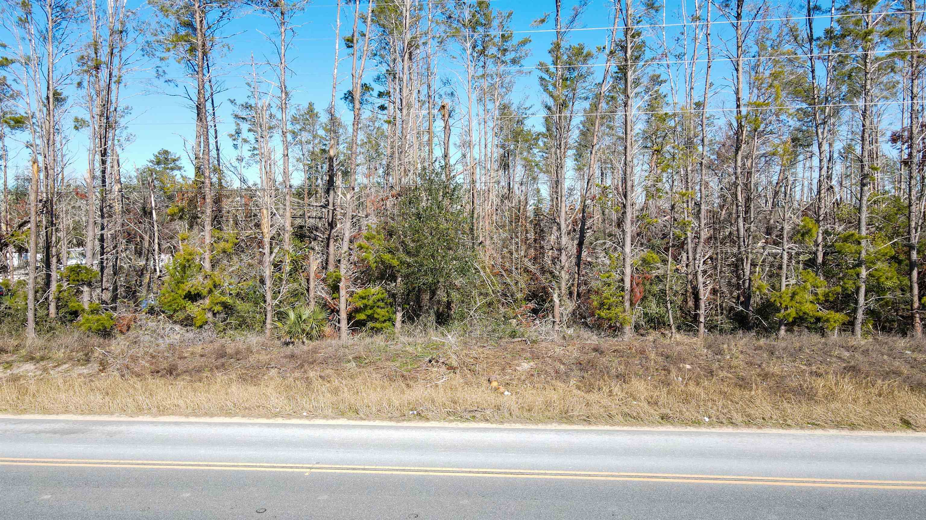 Vacant Seameadows Drive, Perry, Florida image 15