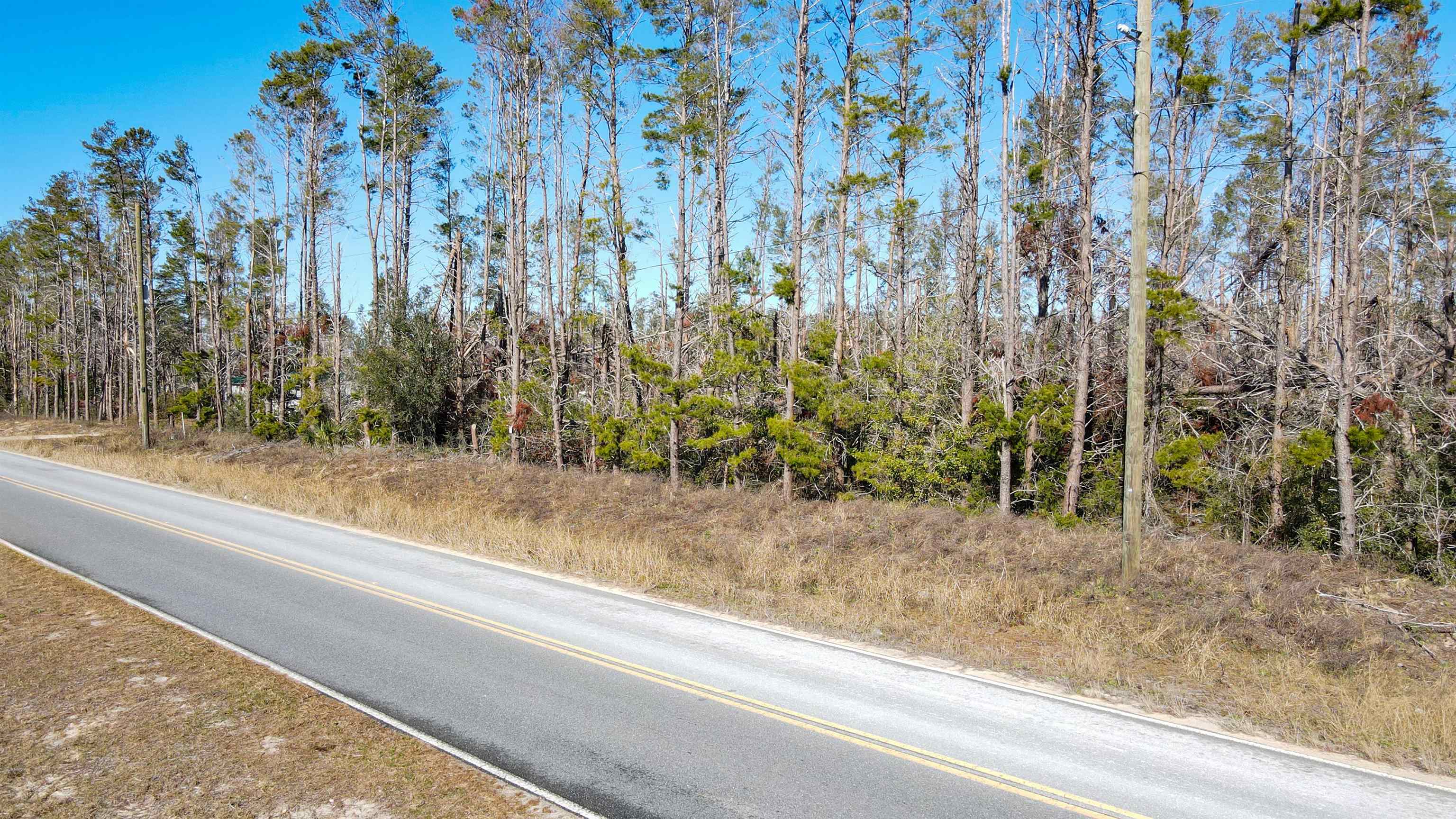 Vacant Seameadows Drive, Perry, Florida image 16