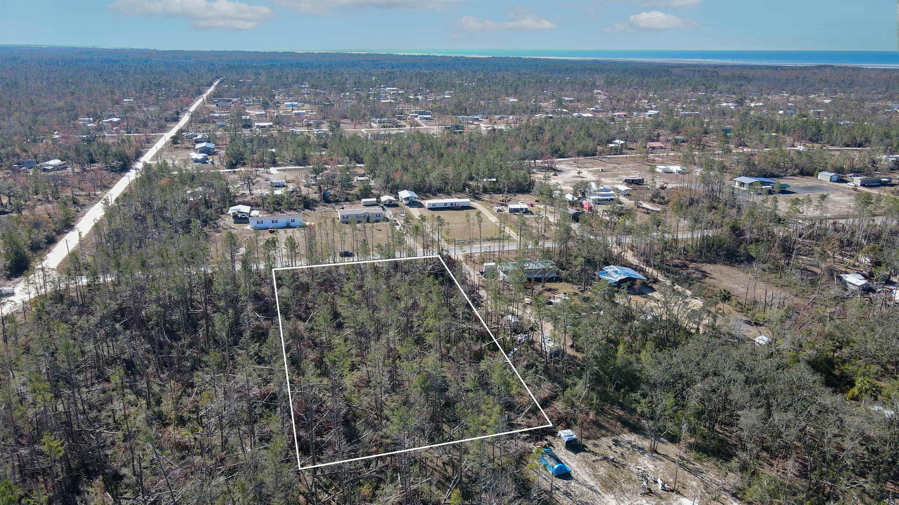 Vacant Seameadows Drive, Perry, Florida image 2